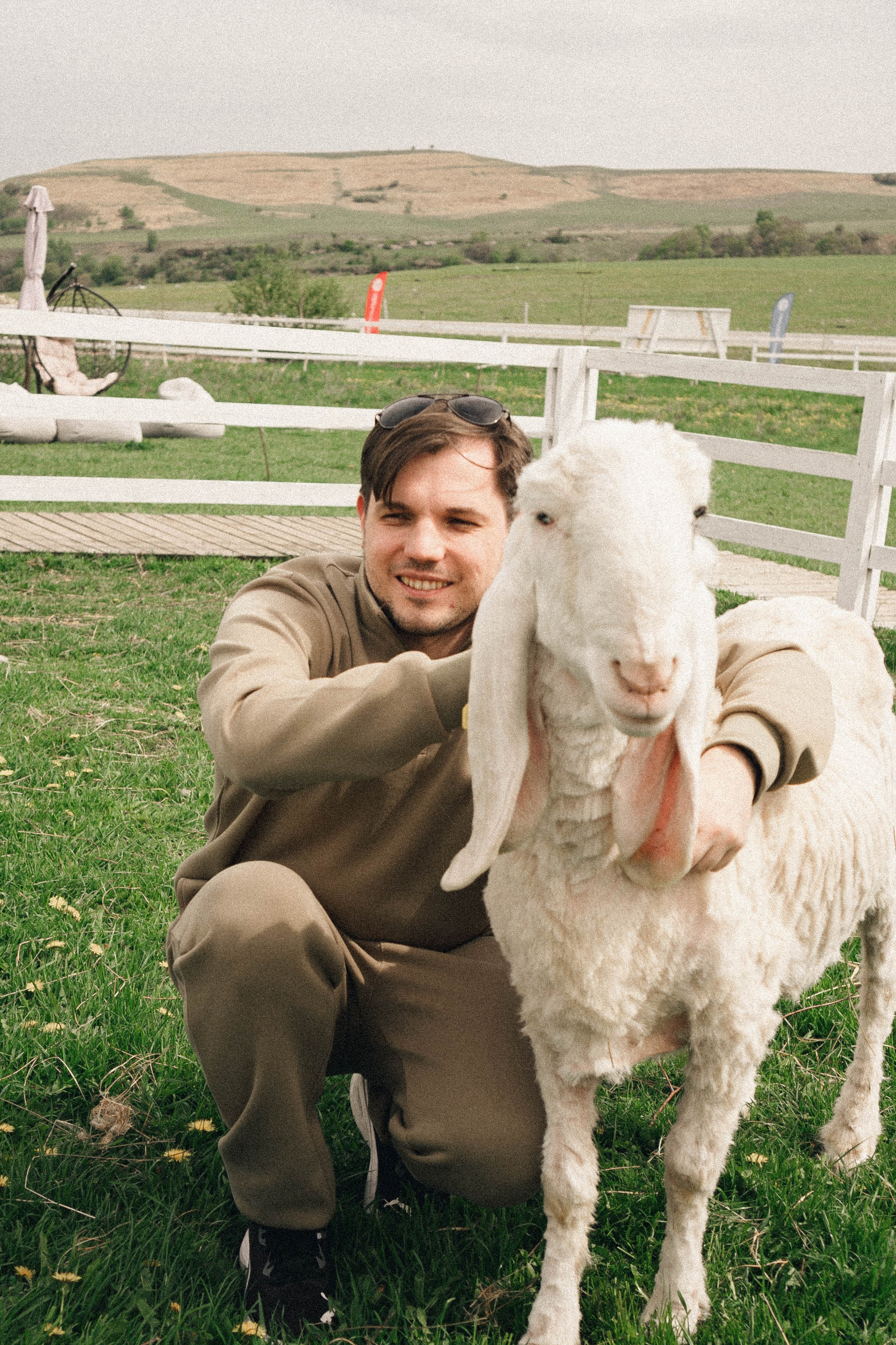 Ферма Альпак. Профессиональный фотограф, Санкт-Петербург — Виктория Богомолова