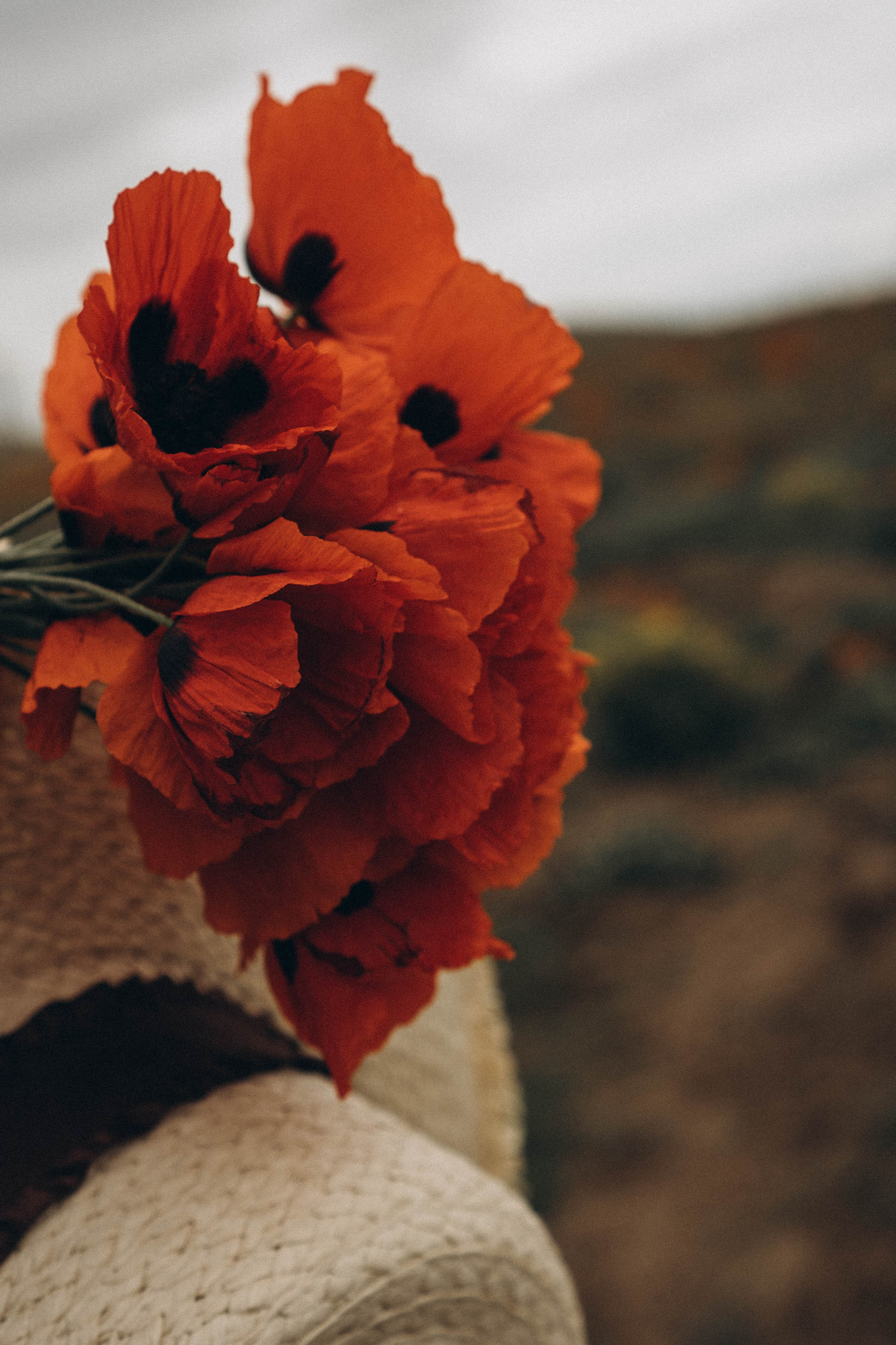 Путешествие в Дагестане. Профессиональный фотограф, Санкт-Петербург — Виктория Богомолова