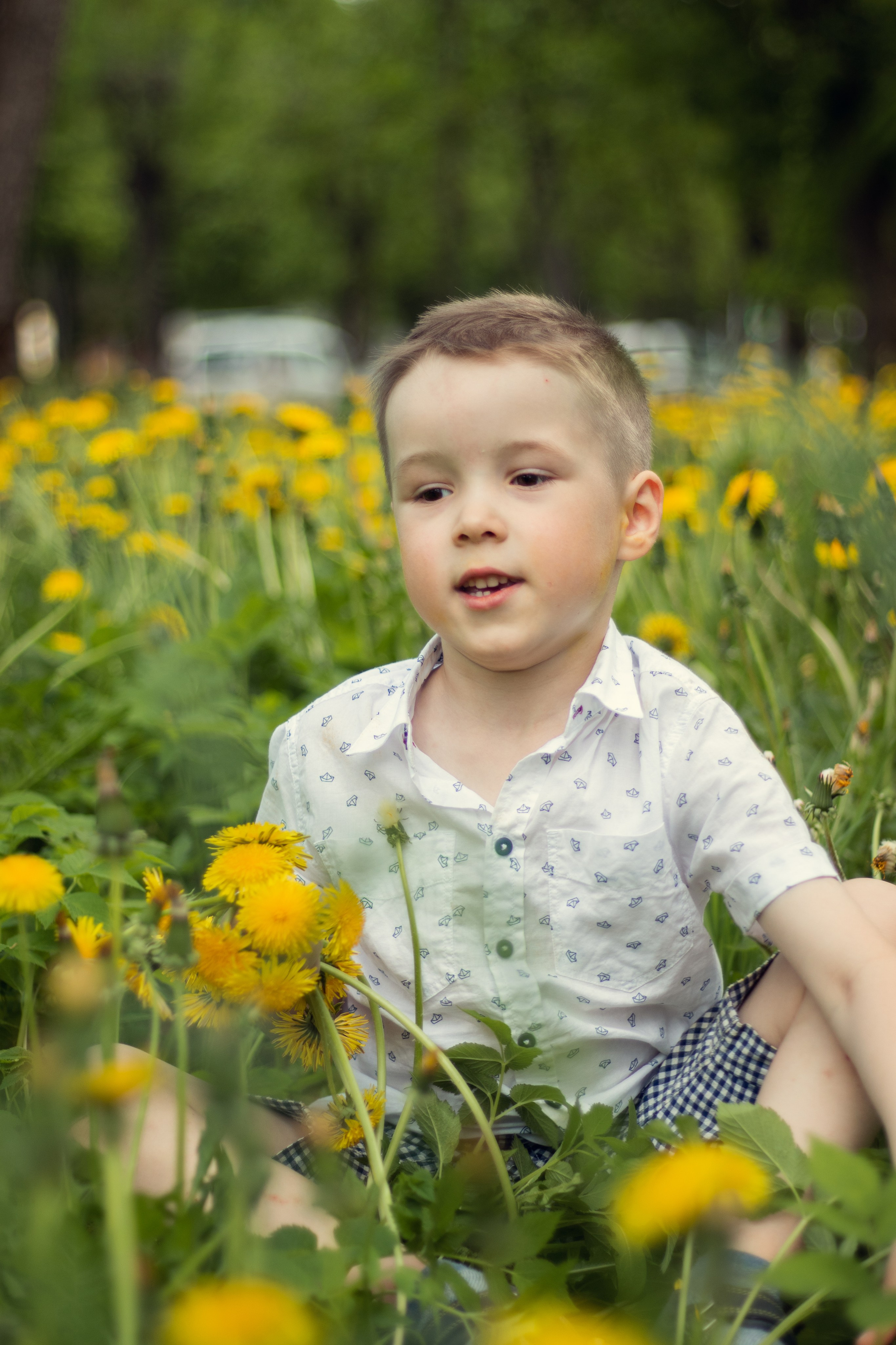 Одуванчиковое настроение