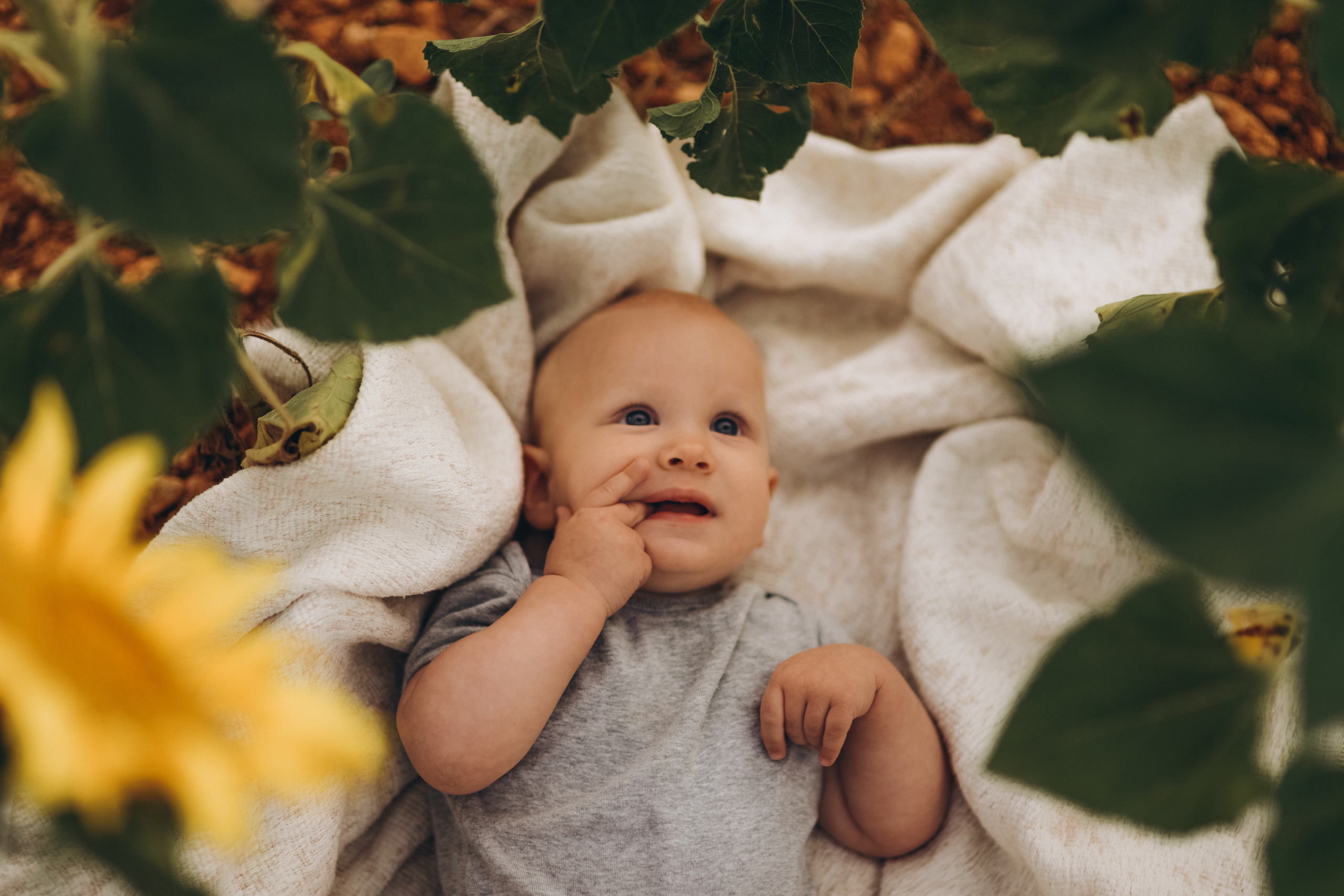 Baby. Photographer in Provence Julia Lipiainen