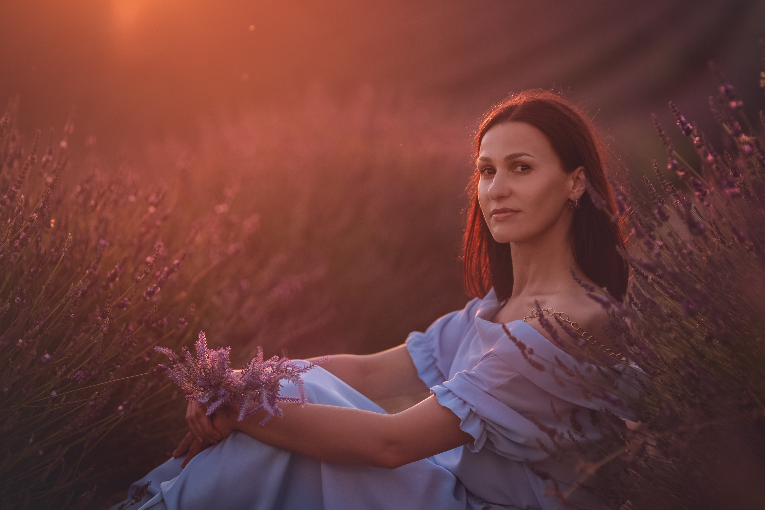 Lavender. Photographer in Provence Julia Lipiainen