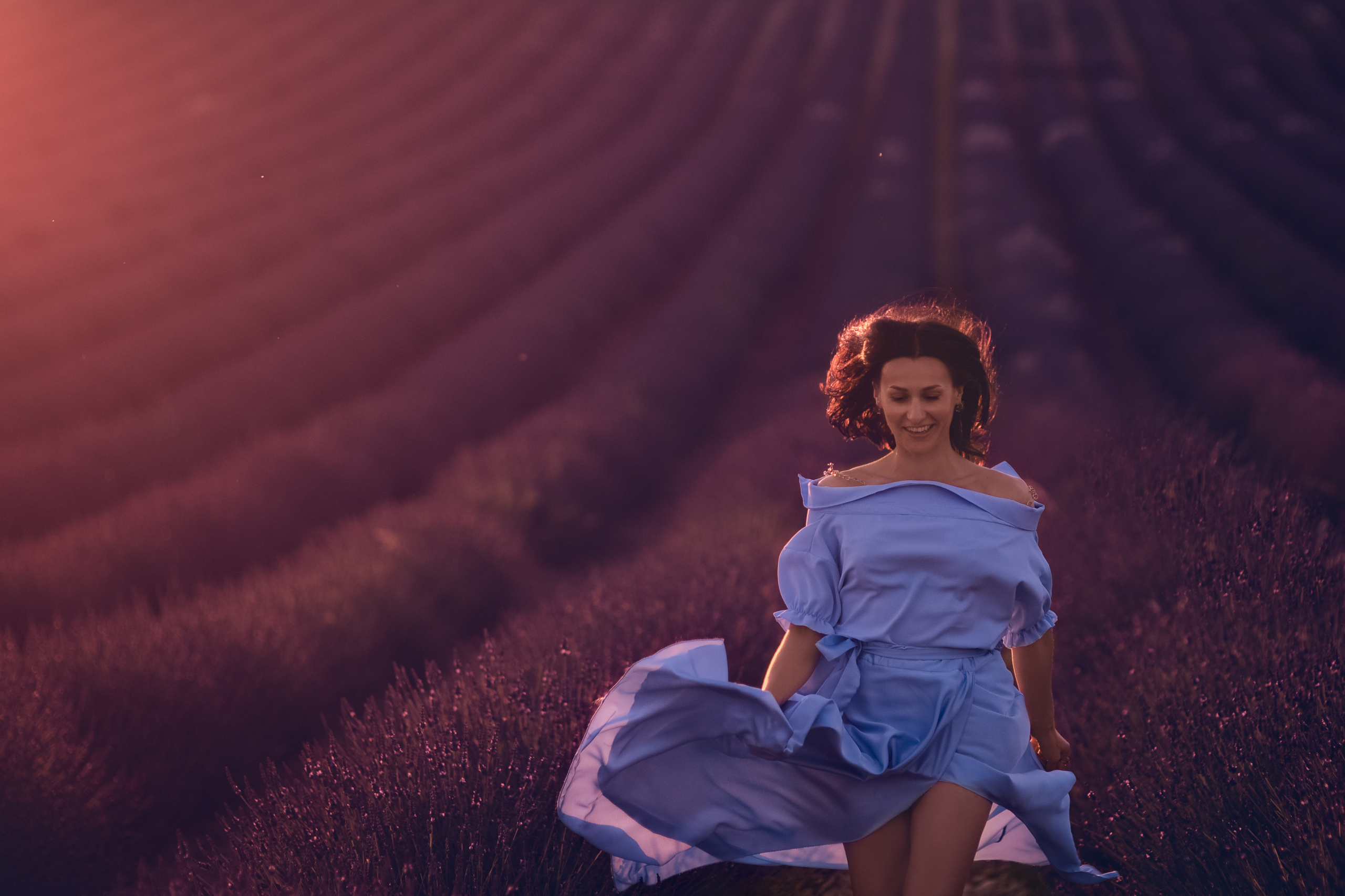 Lavender. Photographer in Provence Julia Lipiainen