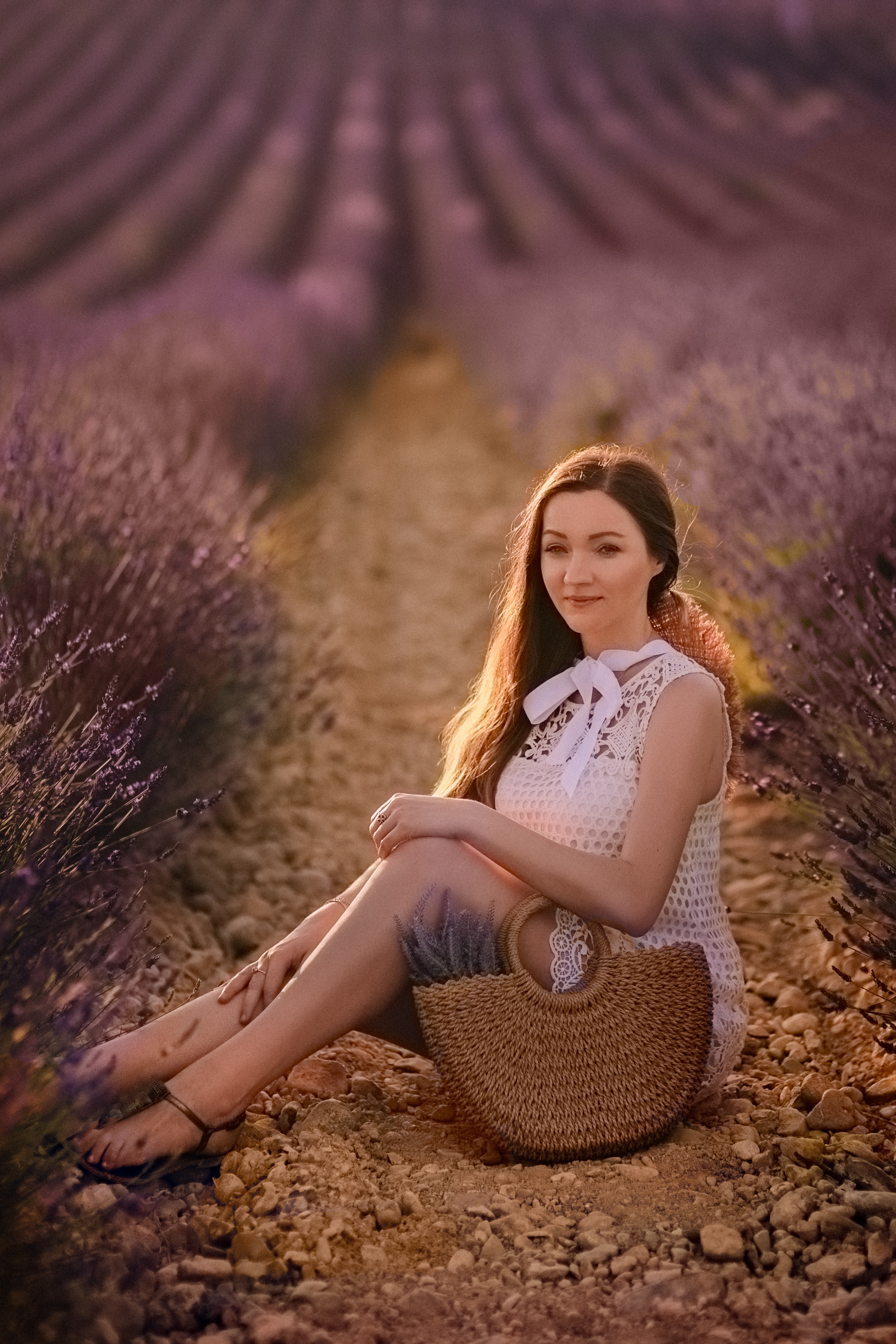 Lavender. Photographer in Provence Julia Lipiainen