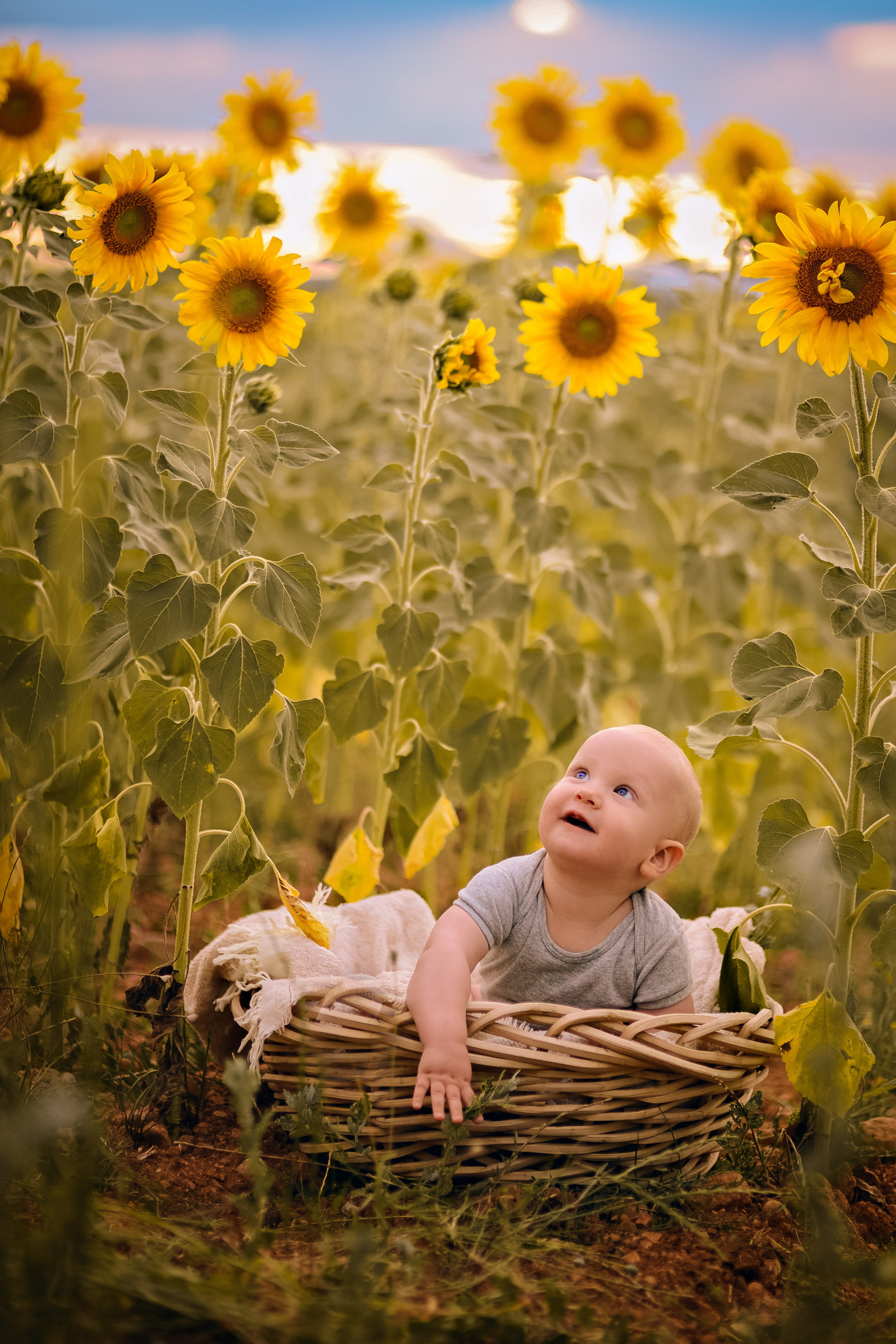 Baby. Photographer in Provence Julia Lipiainen