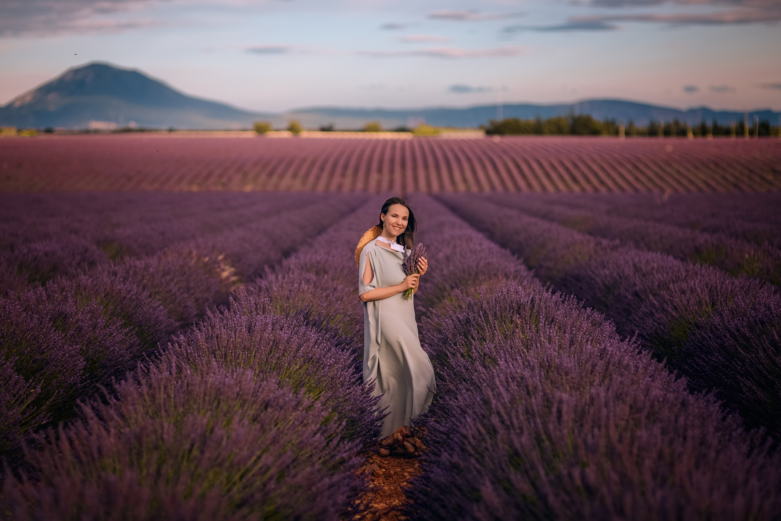 Lavender. Photographer in Provence Julia Lipiainen