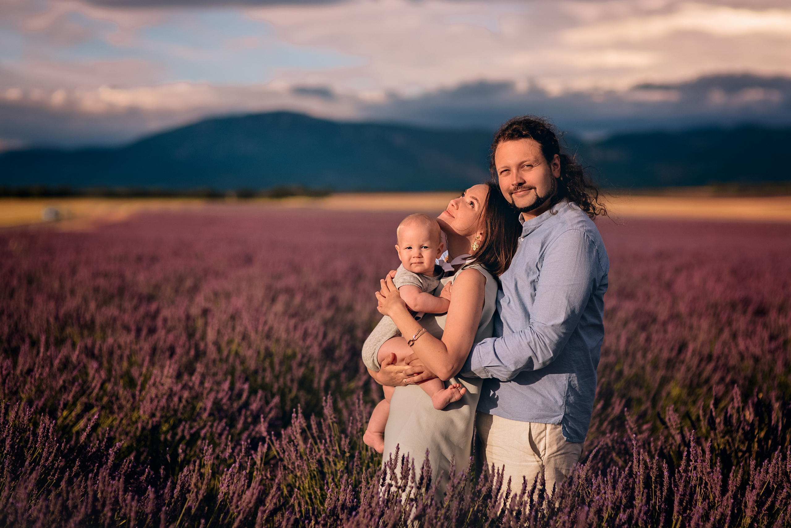 Lavender. Photographer in Provence Julia Lipiainen