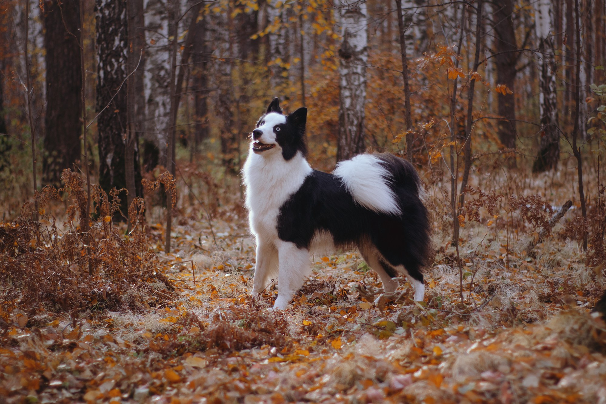 Ликёр. Фотограф в Тюмени Лизавета Сапицкая