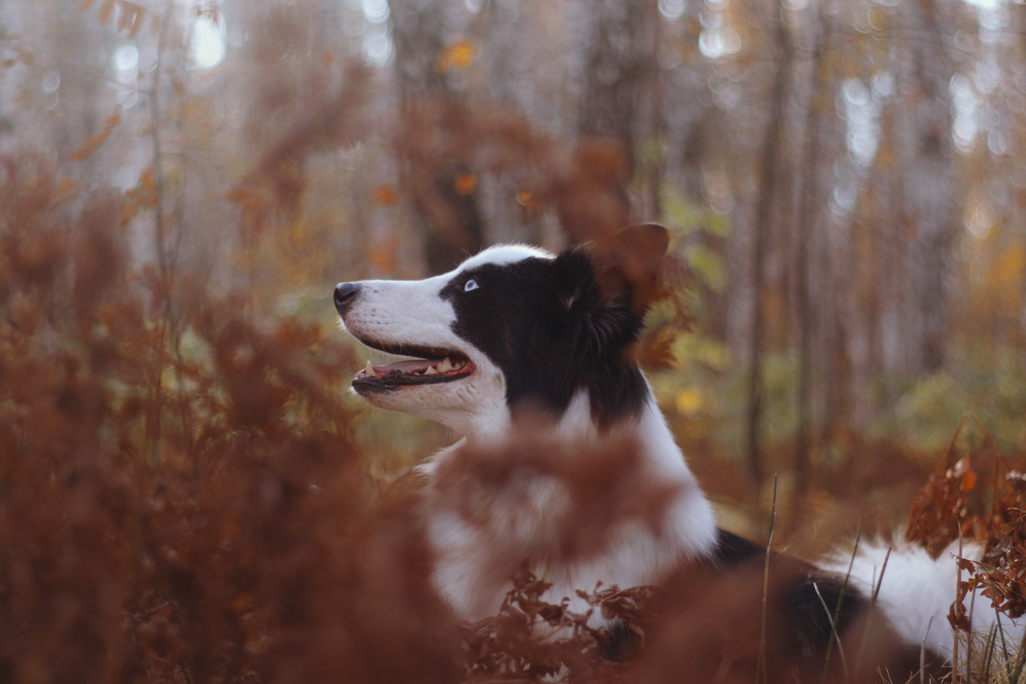 Ликёр. Фотограф в Тюмени Лизавета Сапицкая