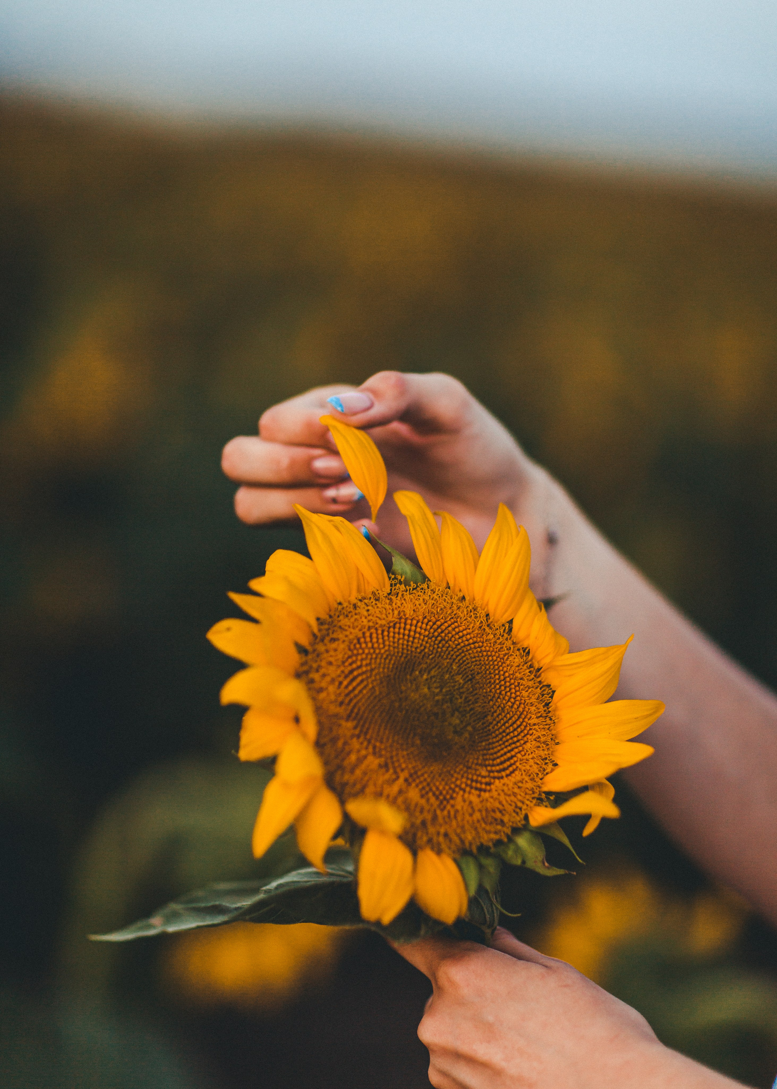 Ариша. Фотограф в Приморско-Ахтарске Марьяна Чопко