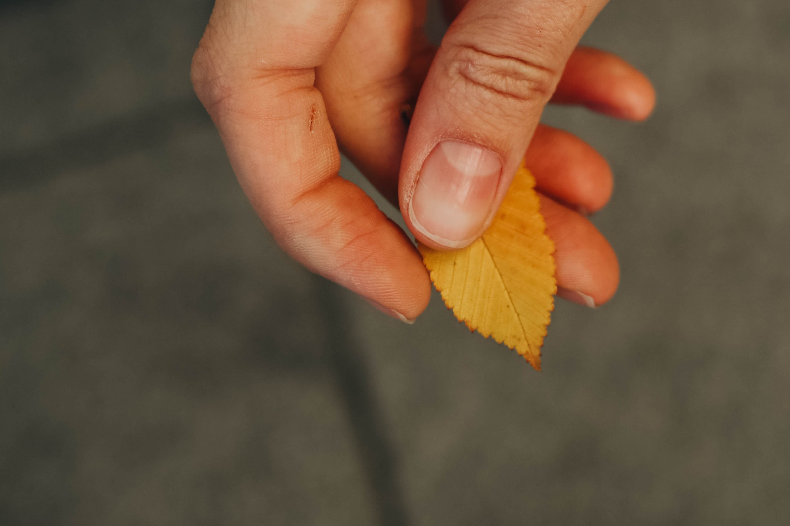 Женя прогулка. Семейный фотограф в Москве Люберцах Ирина Вронская