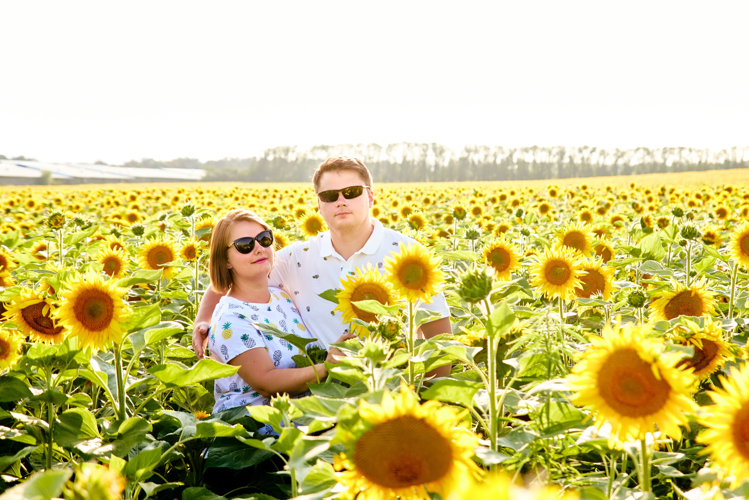 Семейная фотосессия в подсолнухах в Пятигорске. Фотограф и видеограф Антон Калашников | Пятигорск
