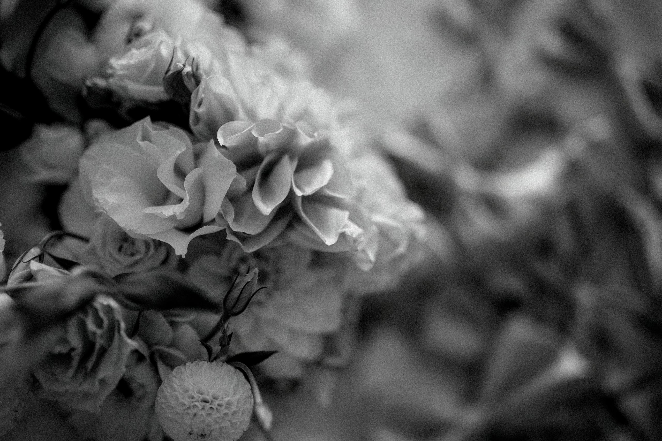 Юрий и Валерия. Свадебный и семейный фотограф в Севастополе и в Крыму Анастасия Корчак