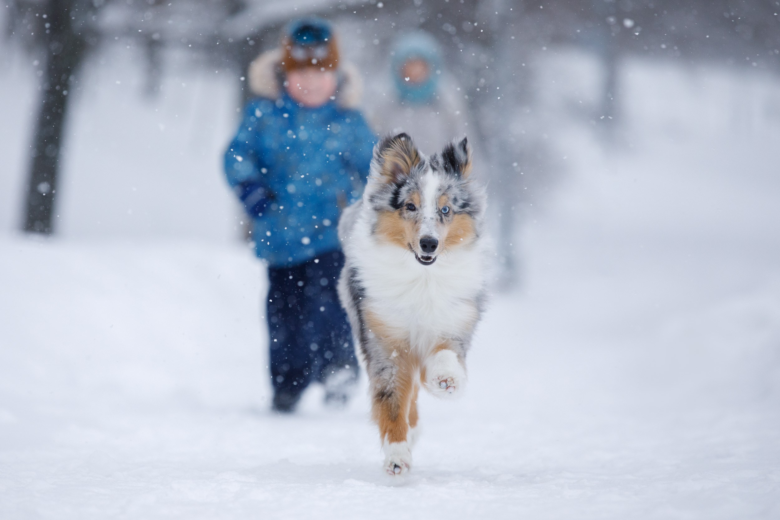 Съёмка ребенка и щенка. Фотограф-анималист в Москве и Московской области Татьяна Фролова