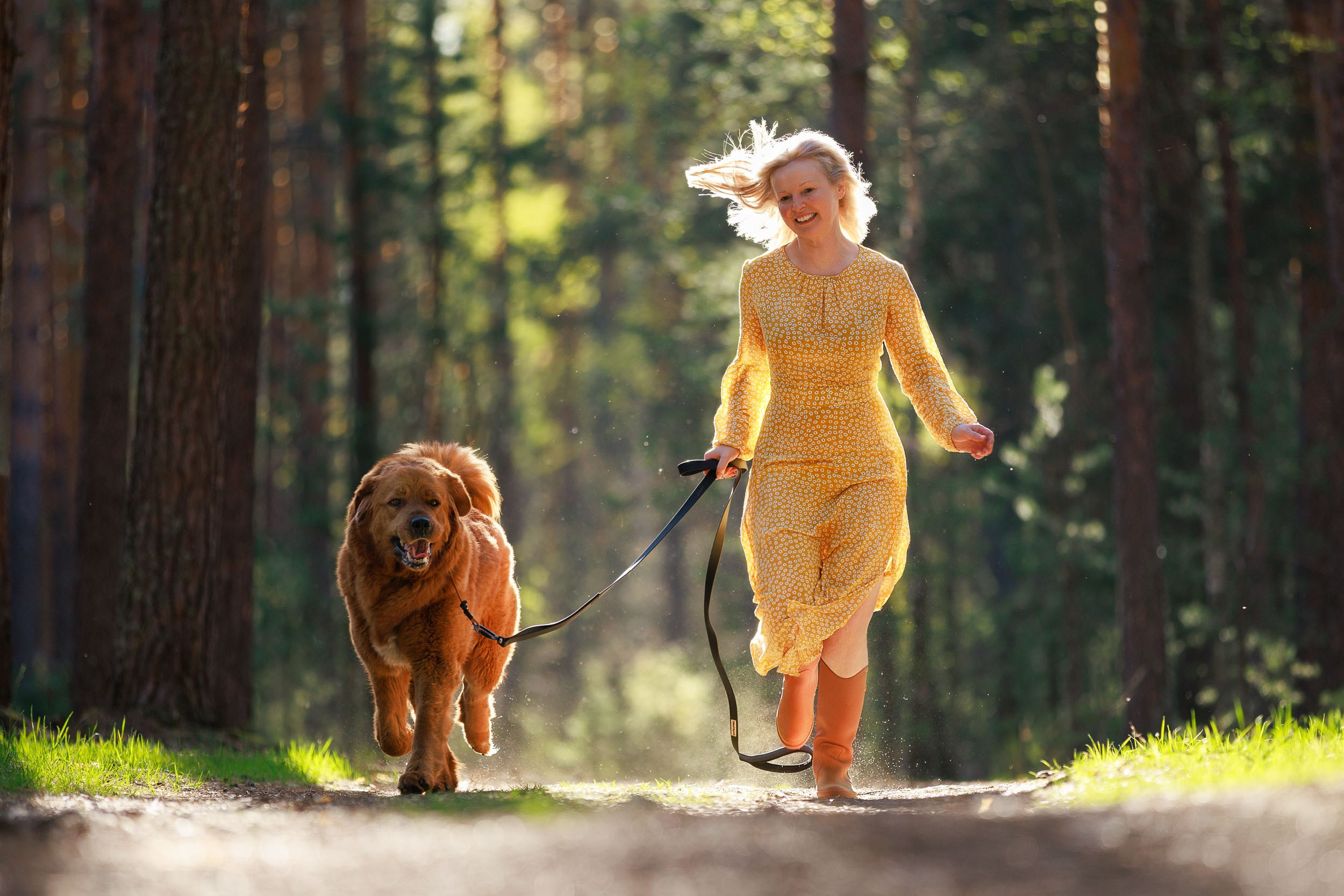Фотосессия с тибетскими мастифами и бишон фризе. Фотограф-анималист в Москве и Московской области Татьяна Фролова