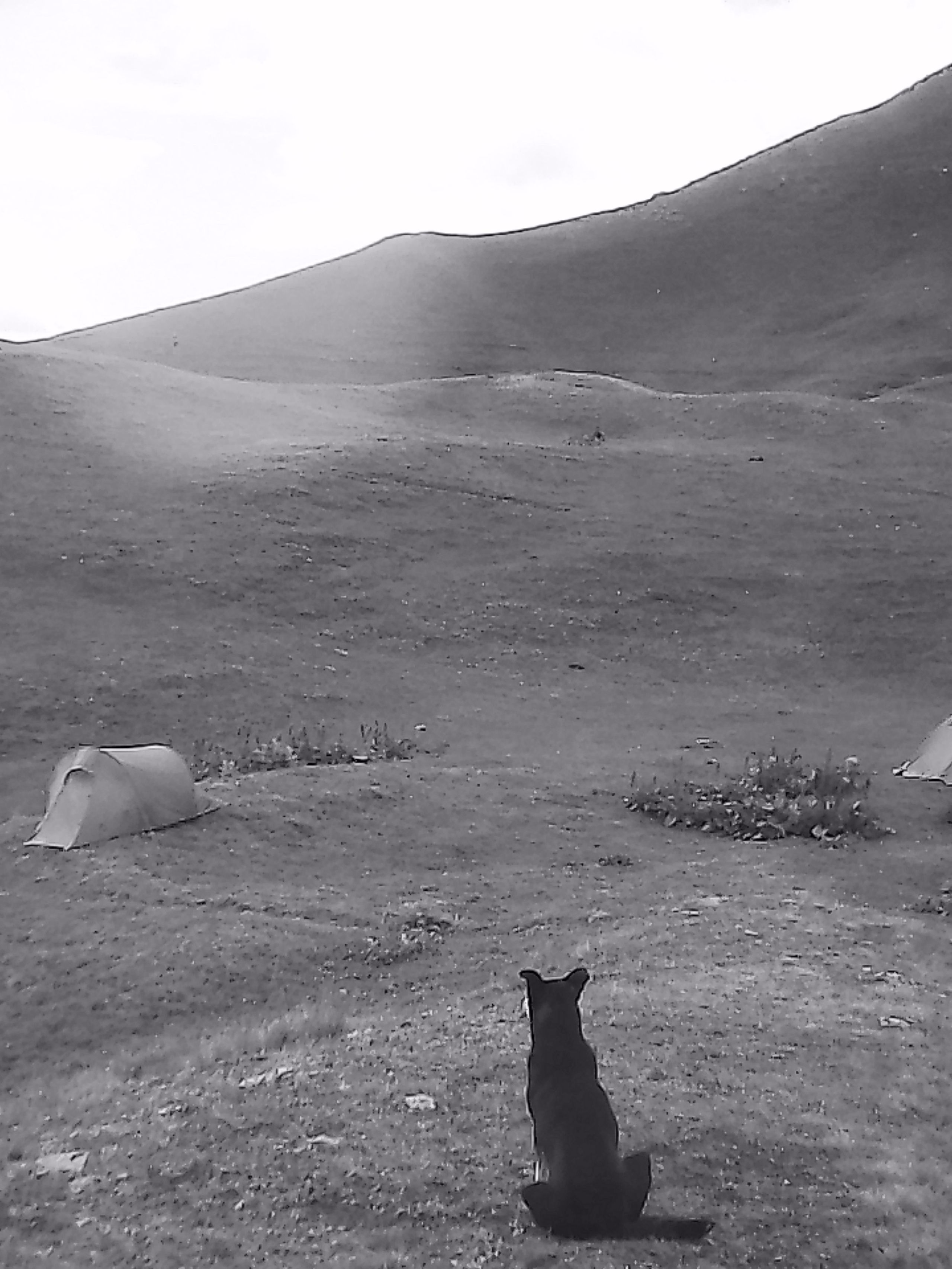 «Крошка 🐣». Anita_photo