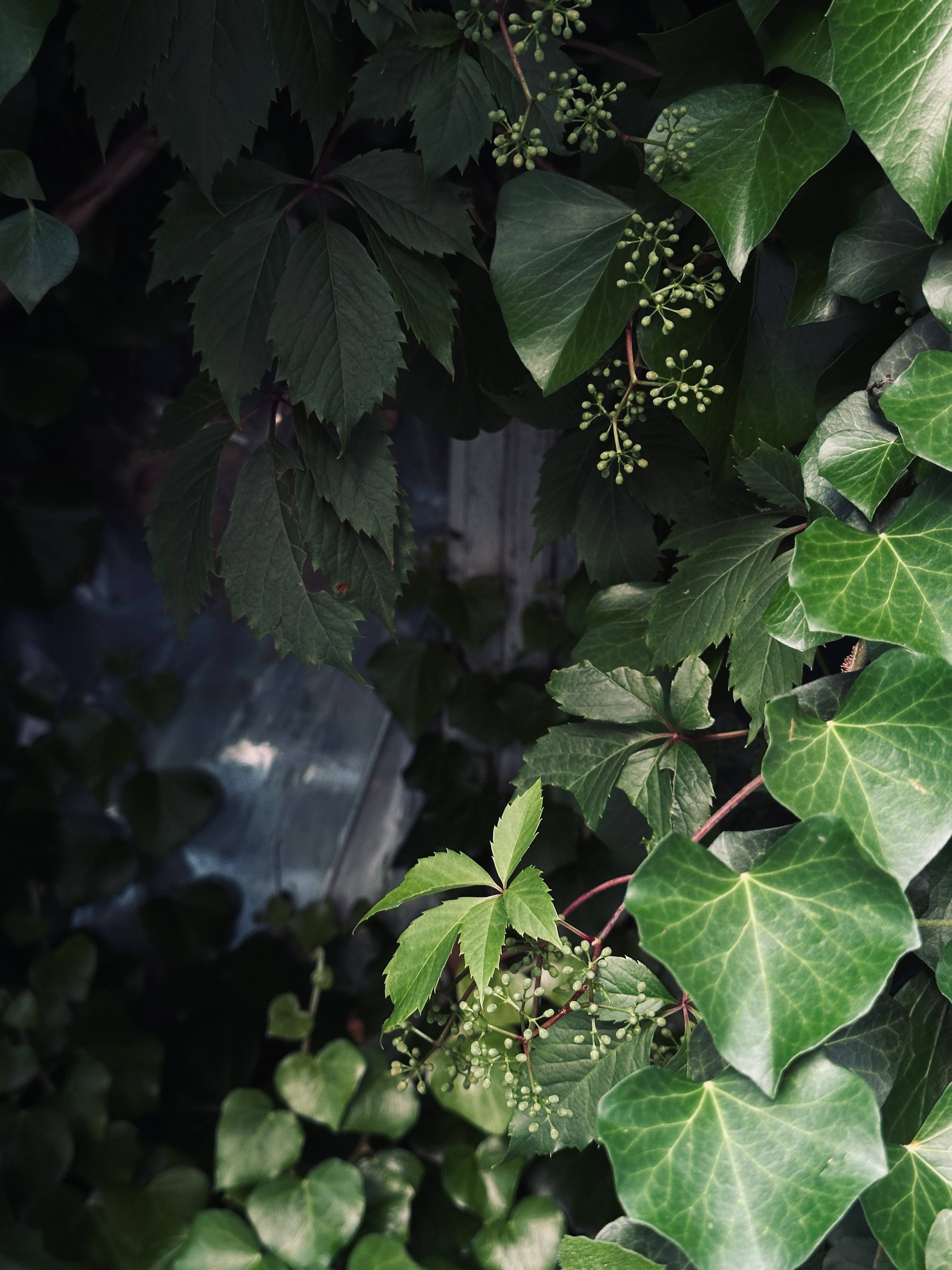 Флора и фауна. Смотри, красота!