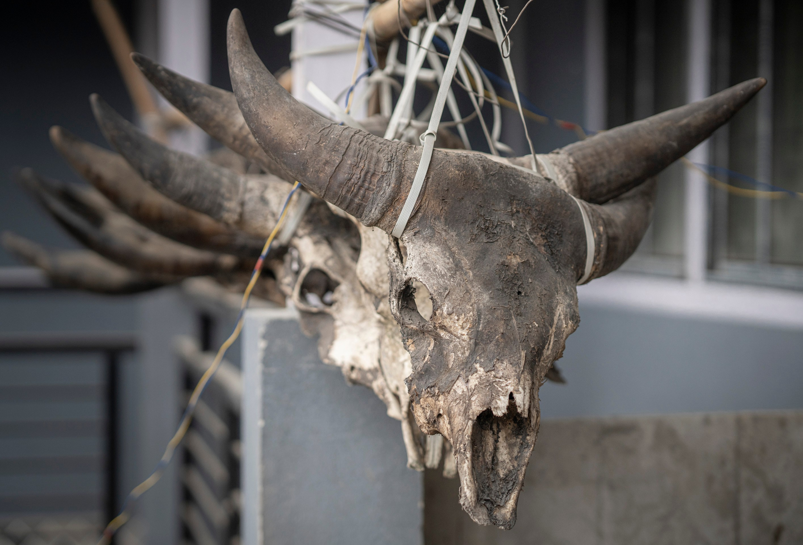 India travel. Фотограф Сергей Танков