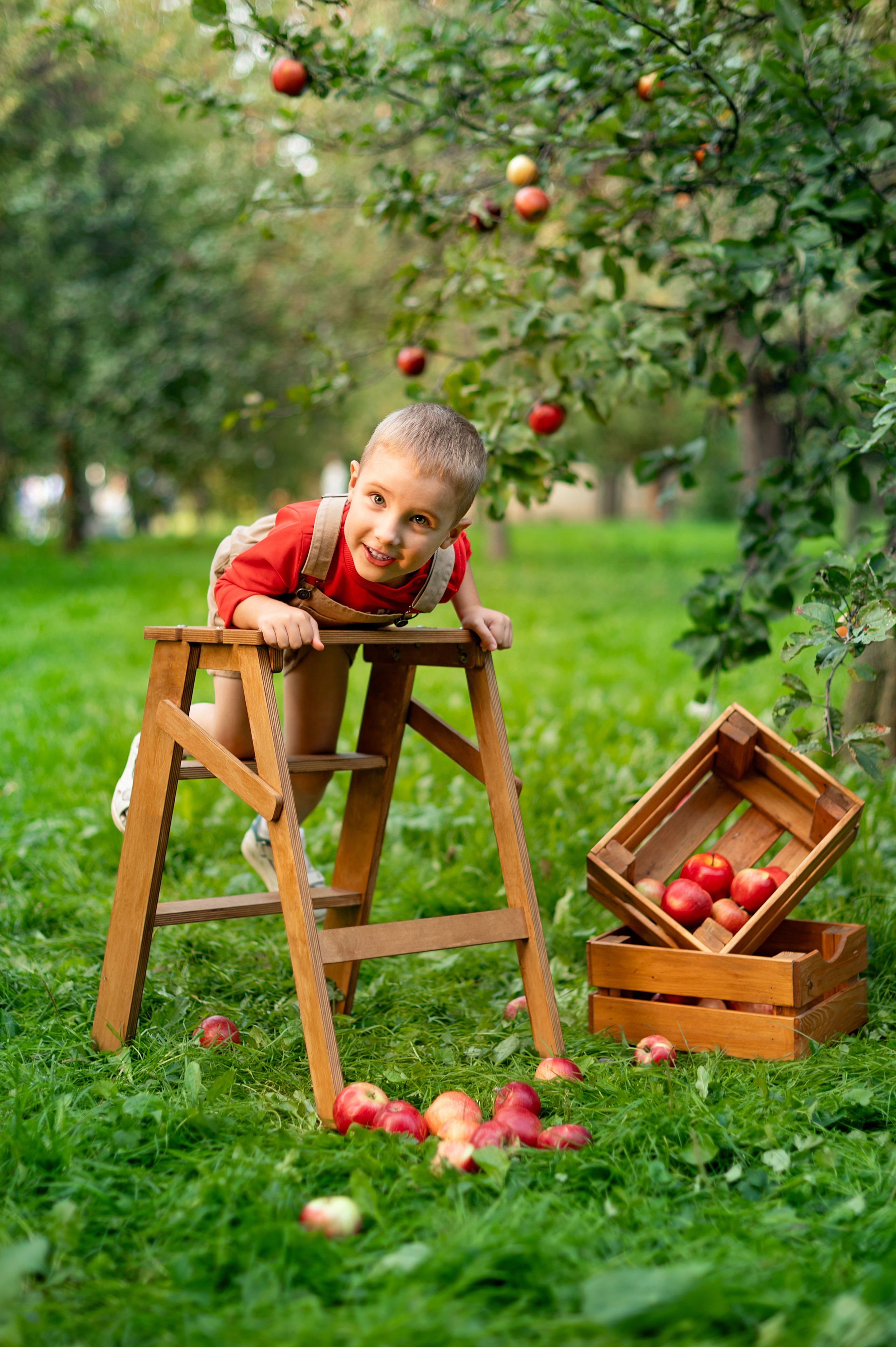 Яблоки. Детский и семейный фотограф г. Москва Оксана Катаджи