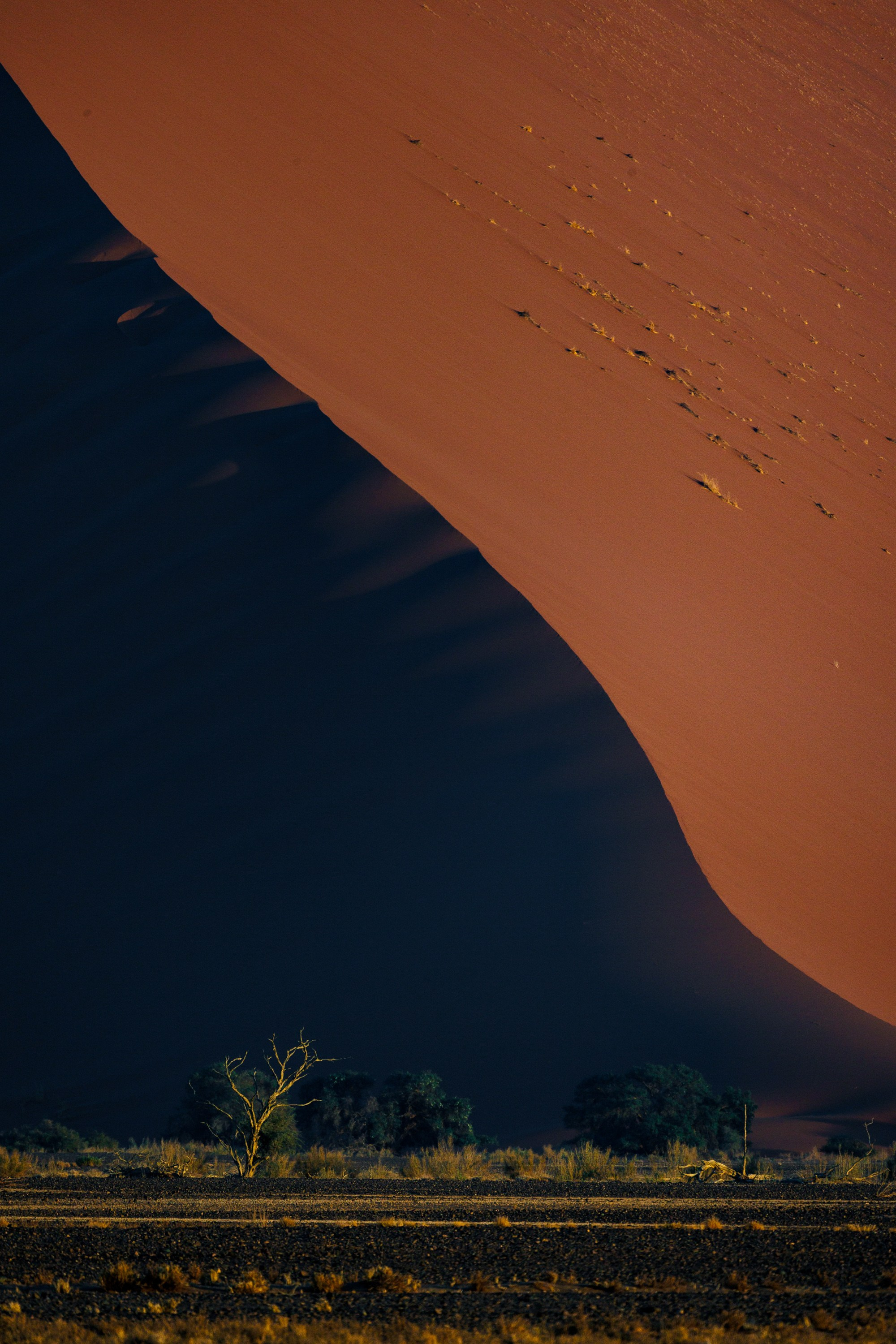 НАМИБИЯ. Роадтрип