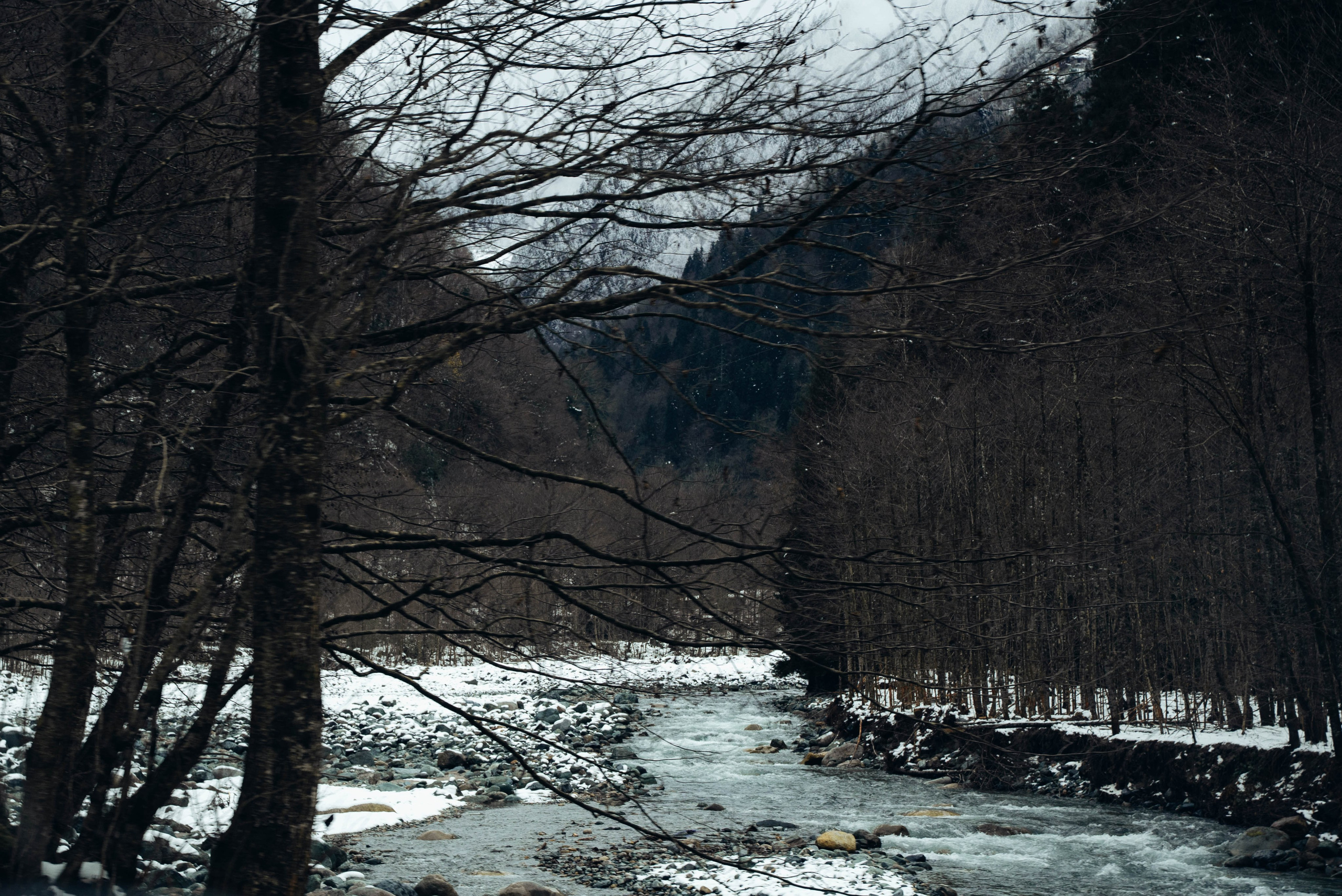 Ризе. Анна Лобанова | фотограф