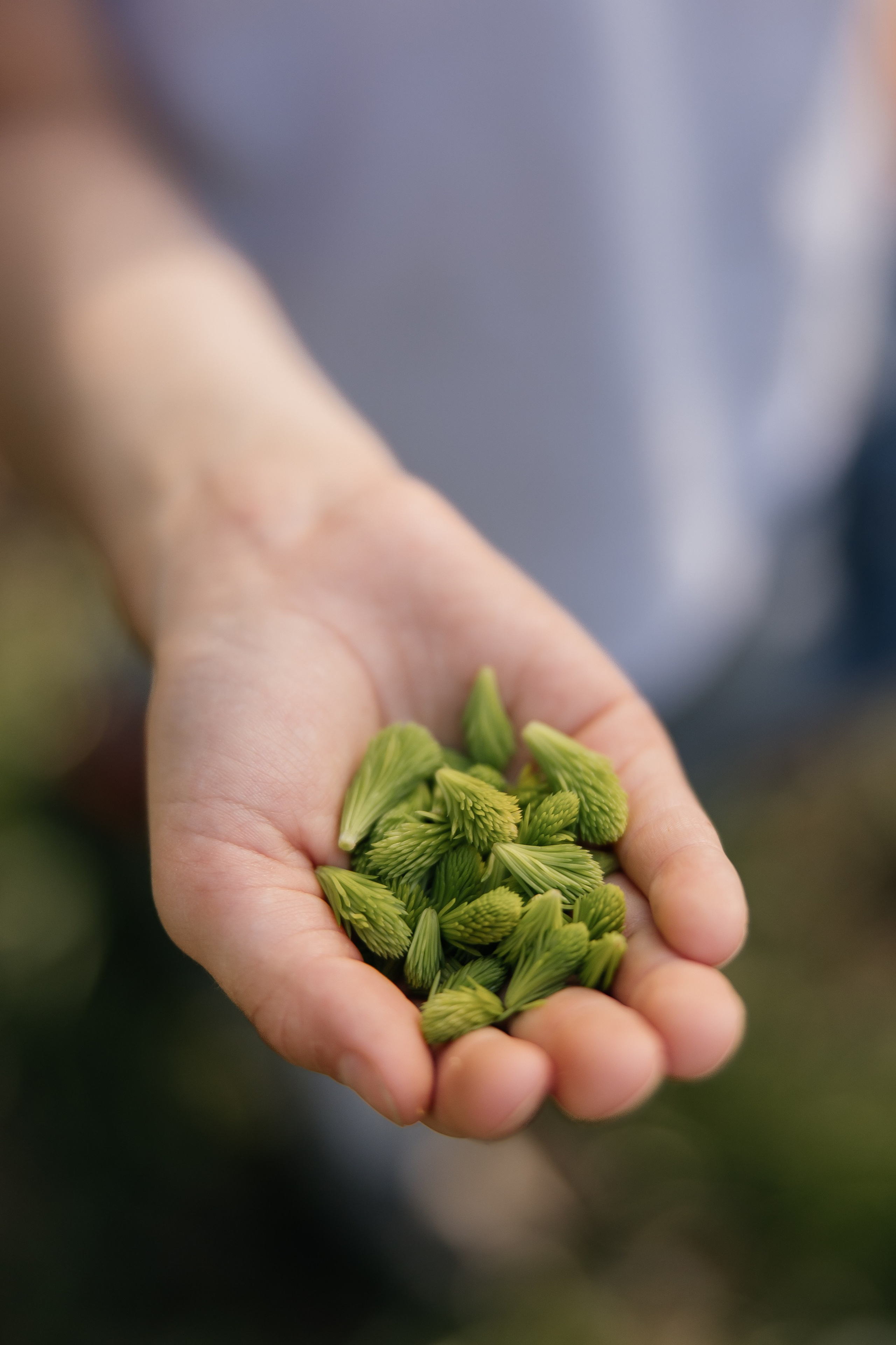 4+1. Школьный фотограф в Новосибирске Наталья Иванченко