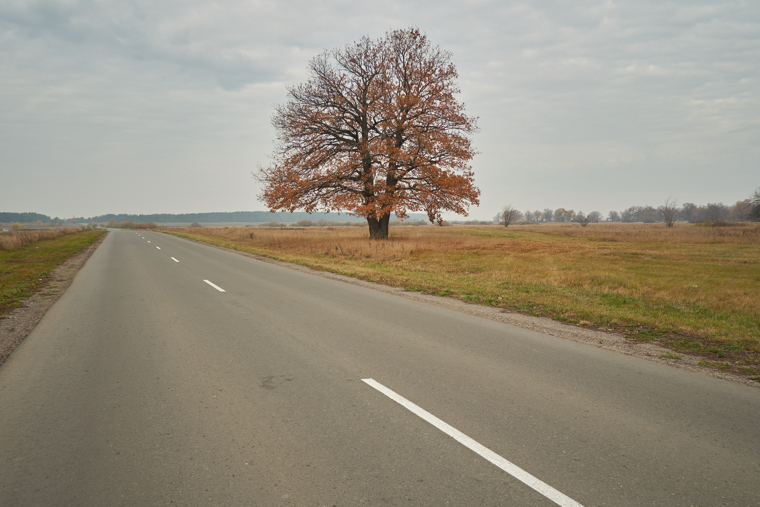 Авторская фотография фотографа Бориса Флорина