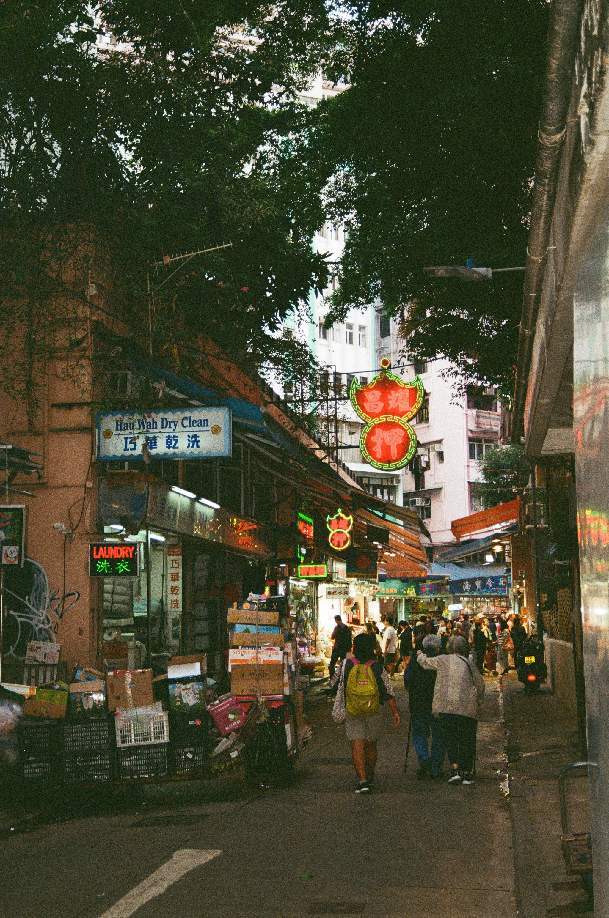 Гон Конг 2024. Репортажный и портретный фотограф Русакова Жанна