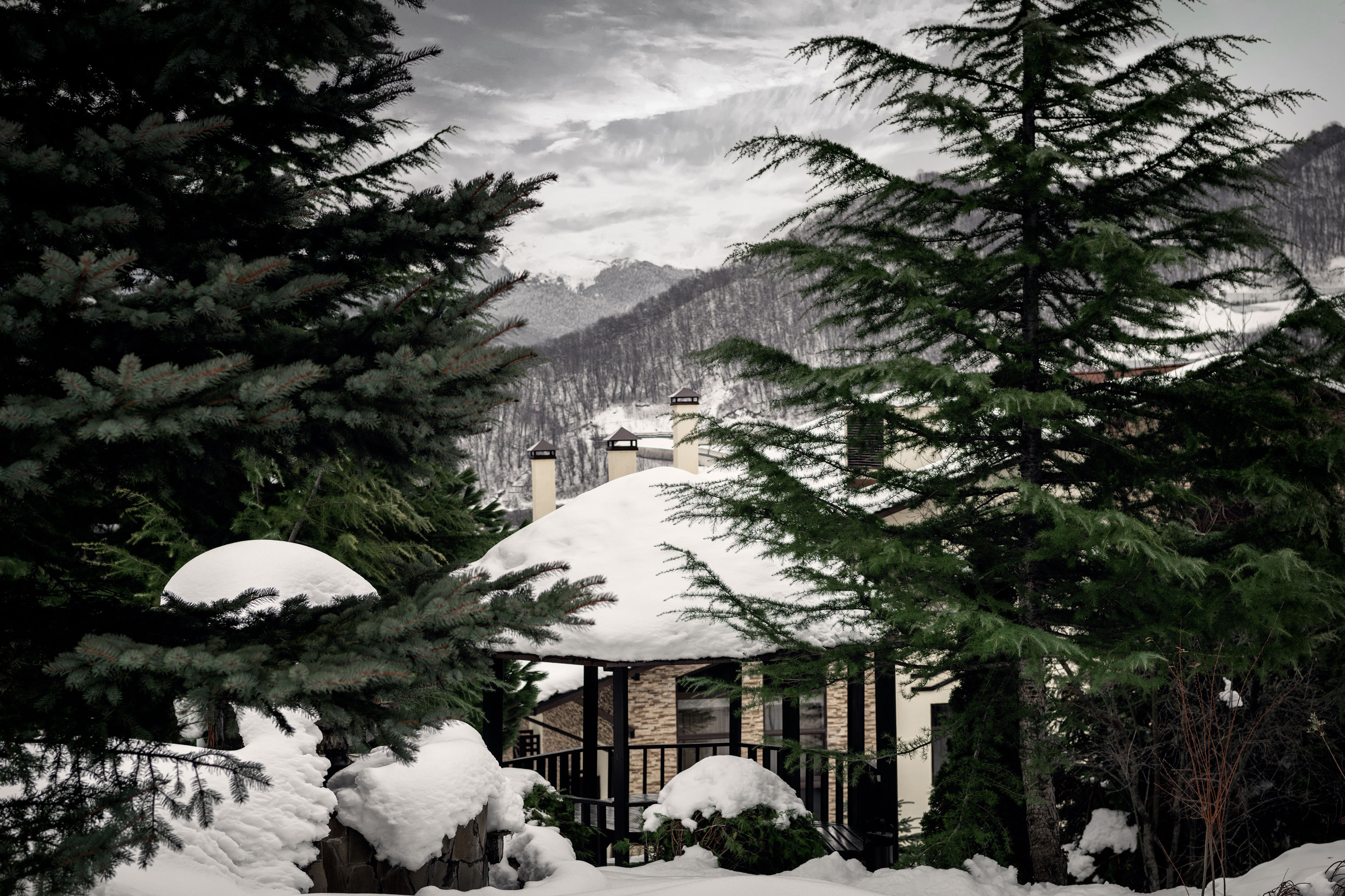 Свадебная фотосессия Биатриссы и Гаджи в Сочи. Бизнес фотограф в Москве Алексей Кознев