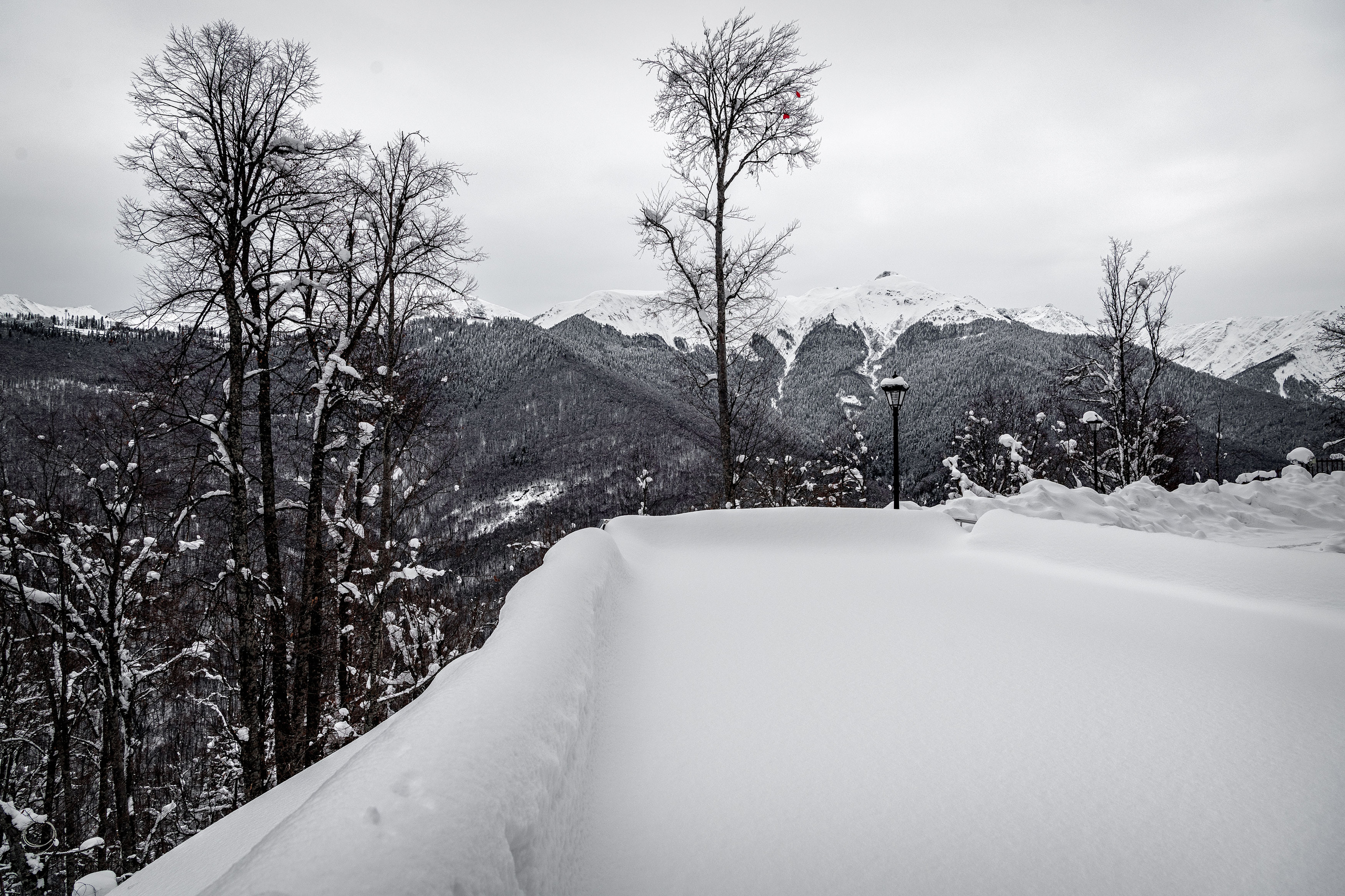 Свадебная фотосессия Биатриссы и Гаджи в Сочи. Бизнес фотограф в Москве Алексей Кознев