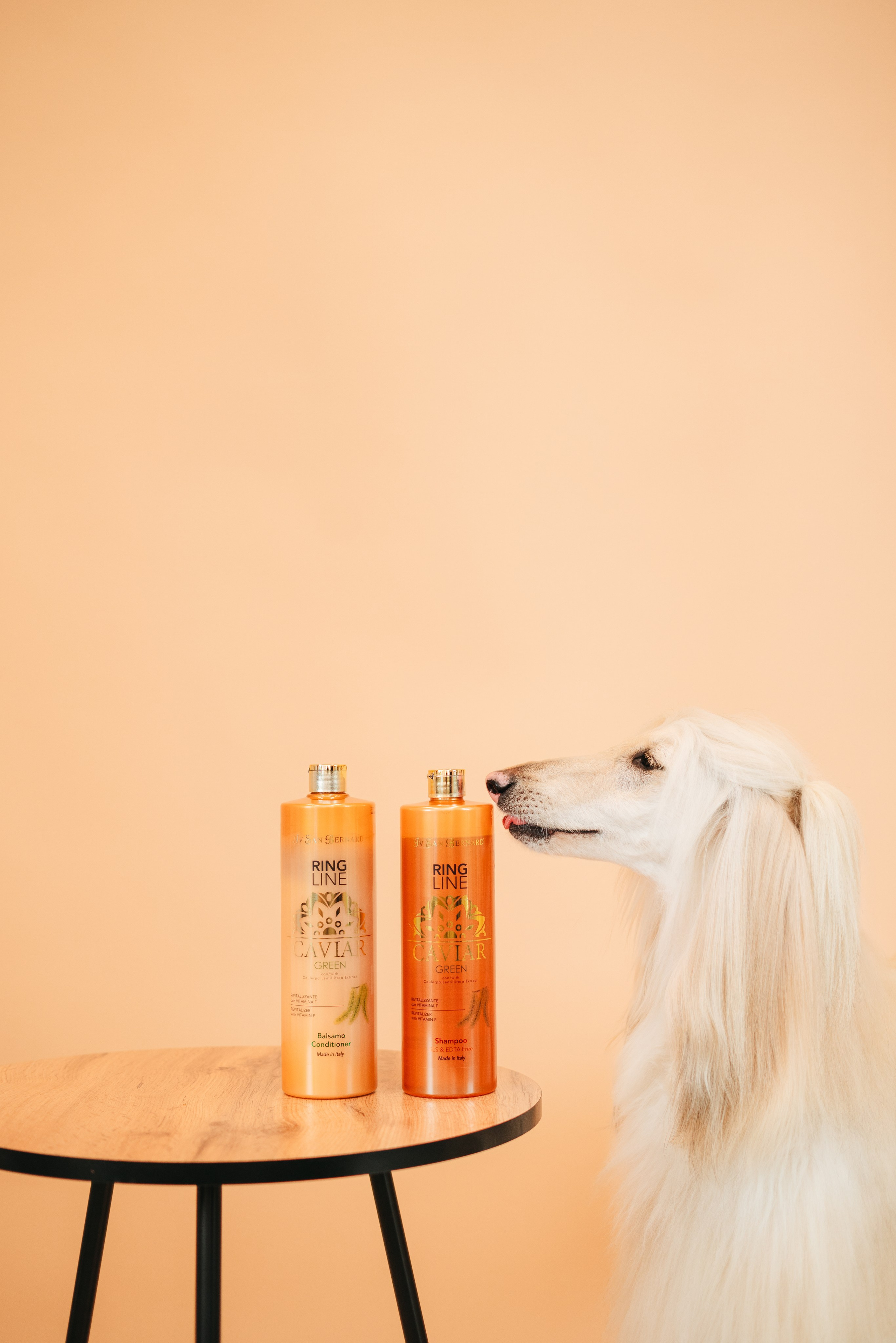 Груминг — салон. Фотограф анималист Осипчикова Мария