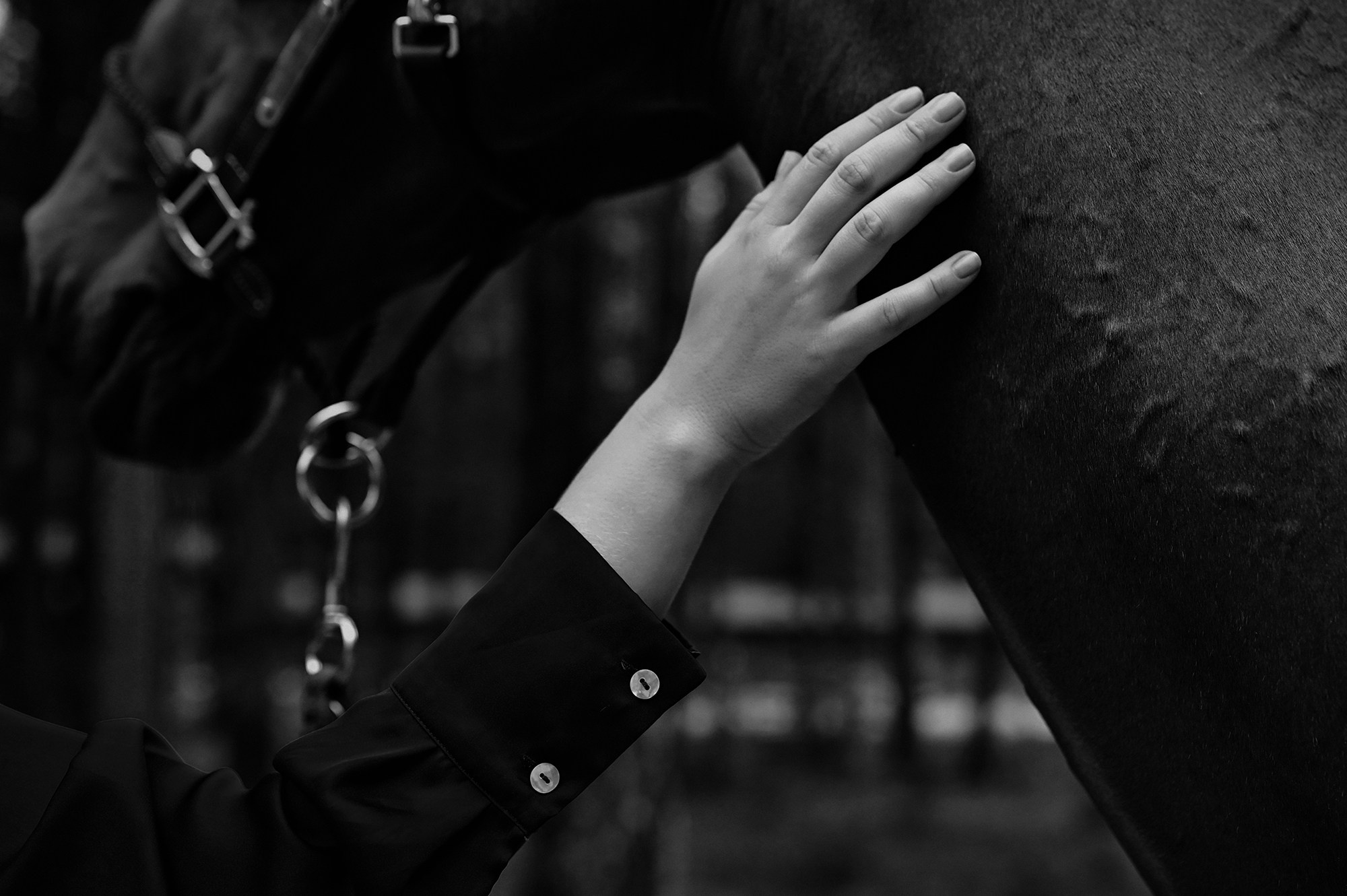 Частные съемки_фото. Конный фотограф Alesya Safe