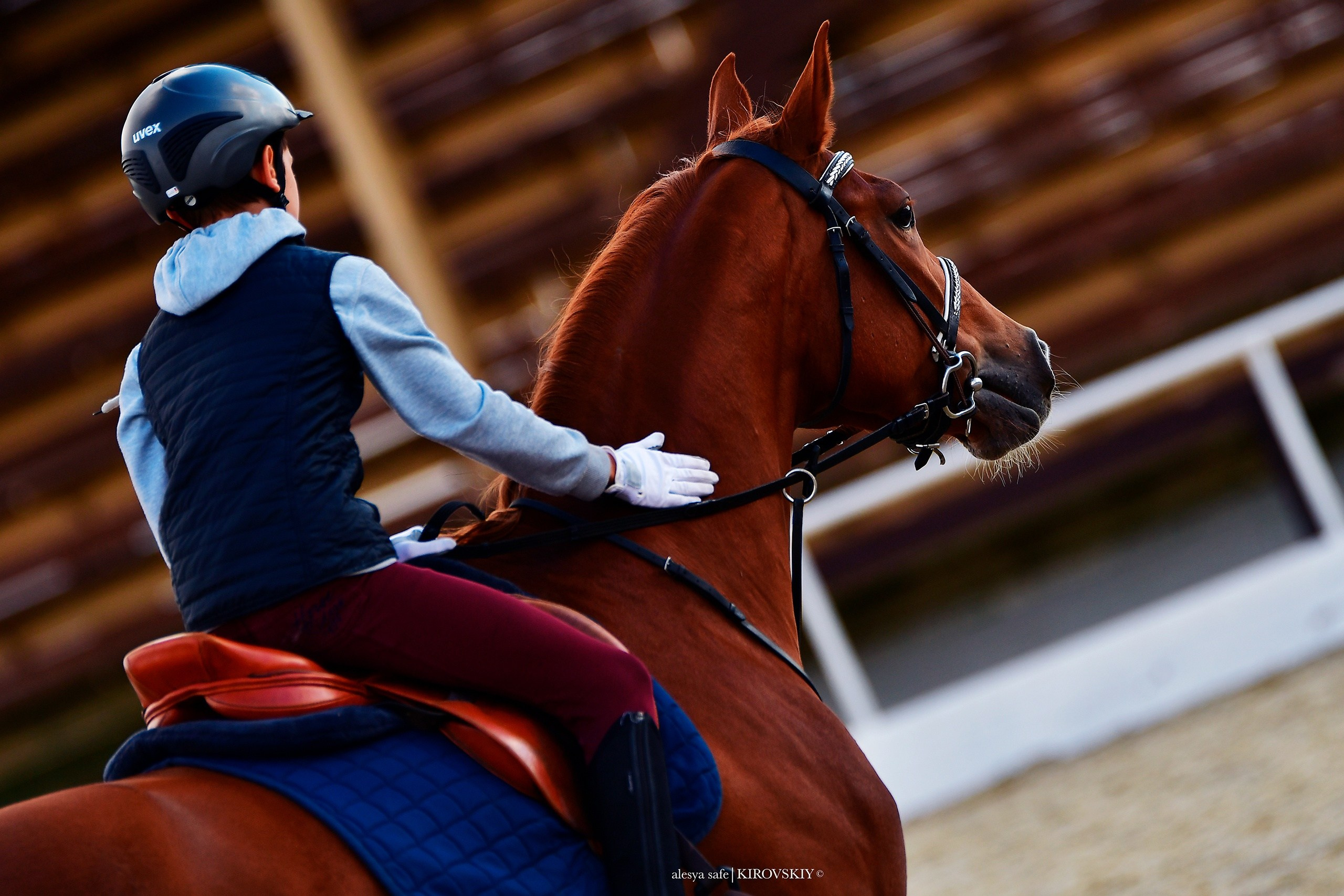 Кировский конный завод. Конный фотограф Alesya Safe