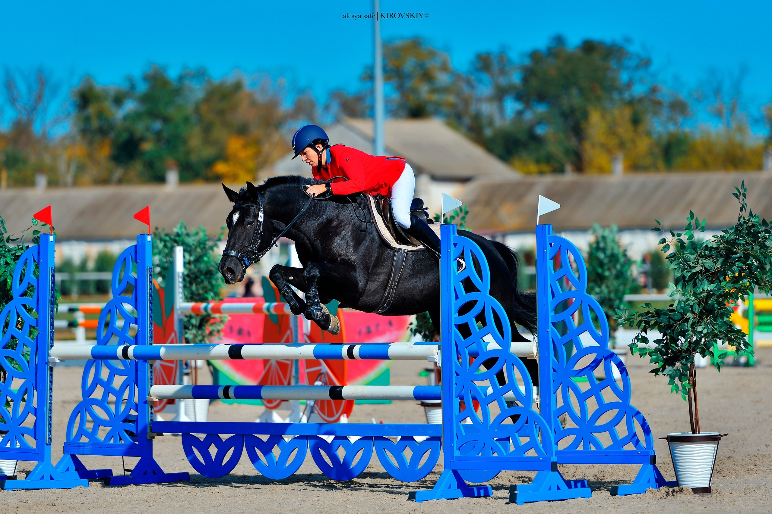 Кировский конный завод. Конный фотограф Alesya Safe