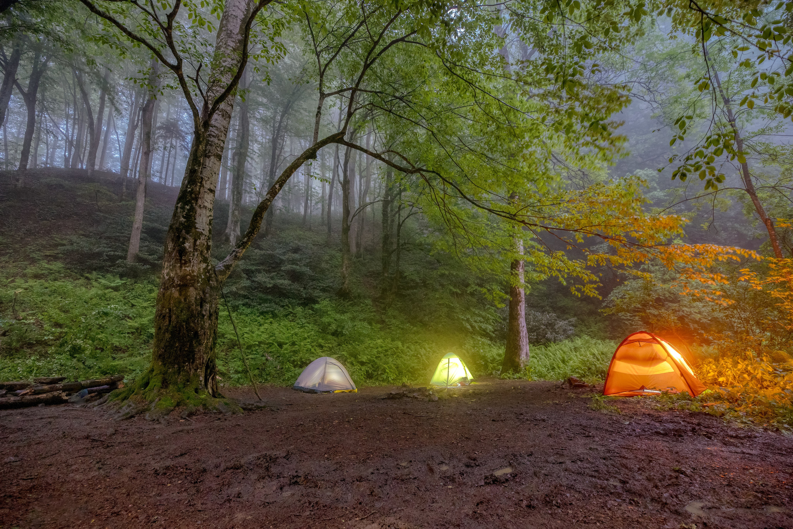 Грачев Венец. Тревел-фотограф Олег Гуров