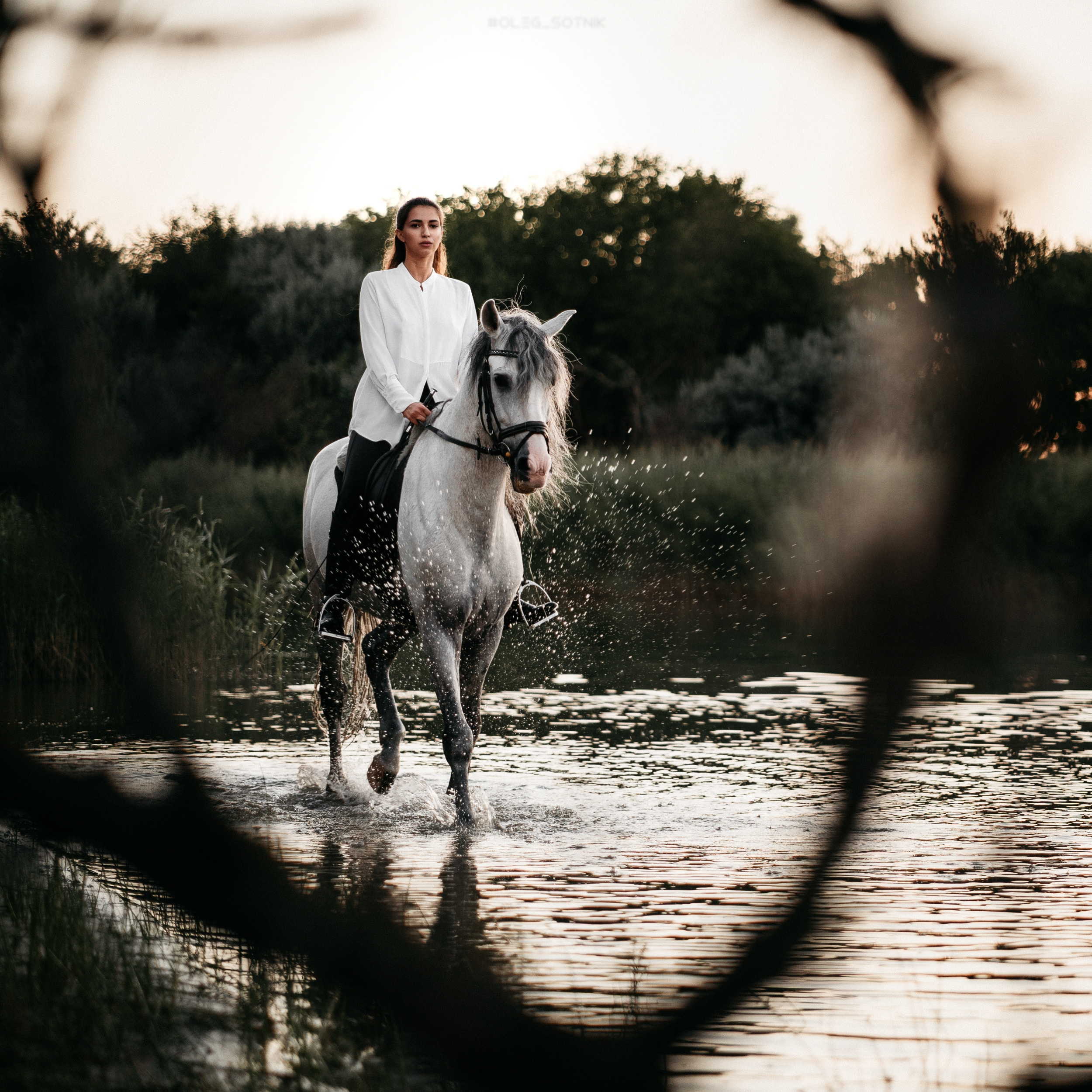 Контент для конного клуба. Фотограф Олег Сотник