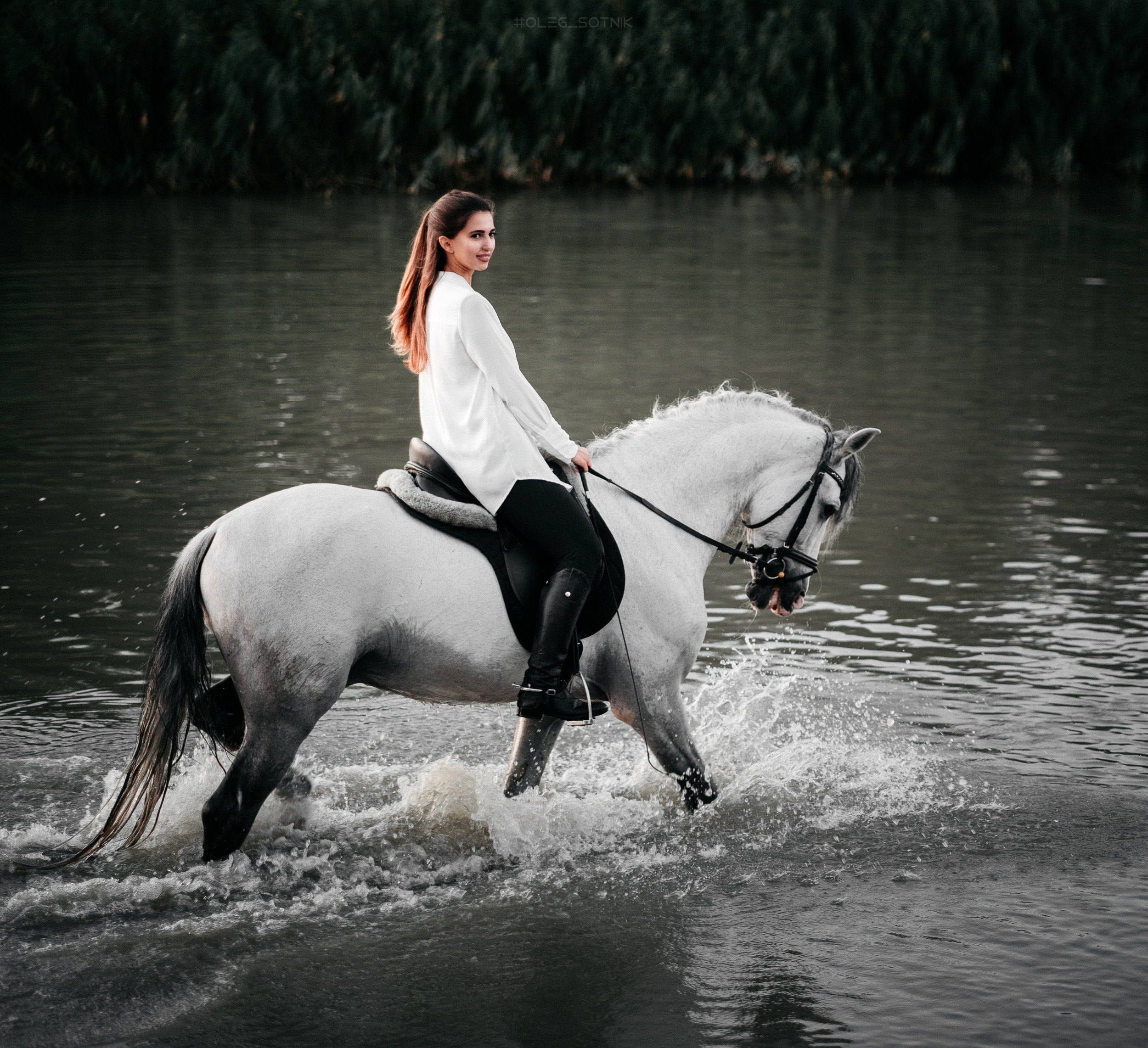 Контент для конного клуба. Фотограф Олег Сотник