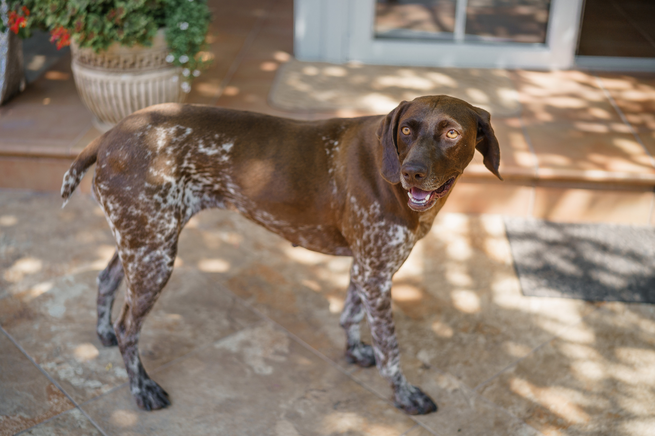Свадьба в Ростове. Фотограф Олег Сотник