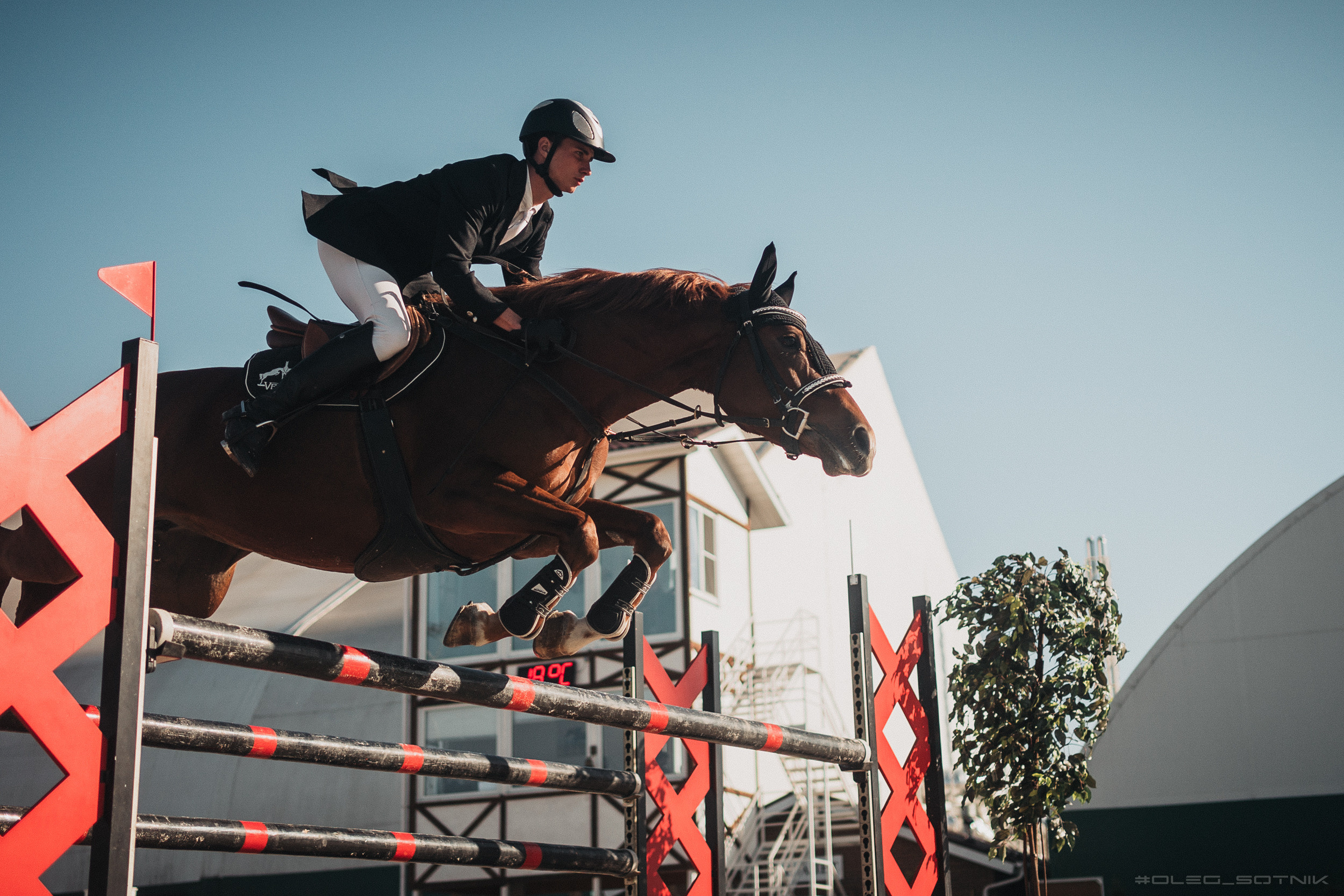 Контент для конного клуба. Фотограф Олег Сотник