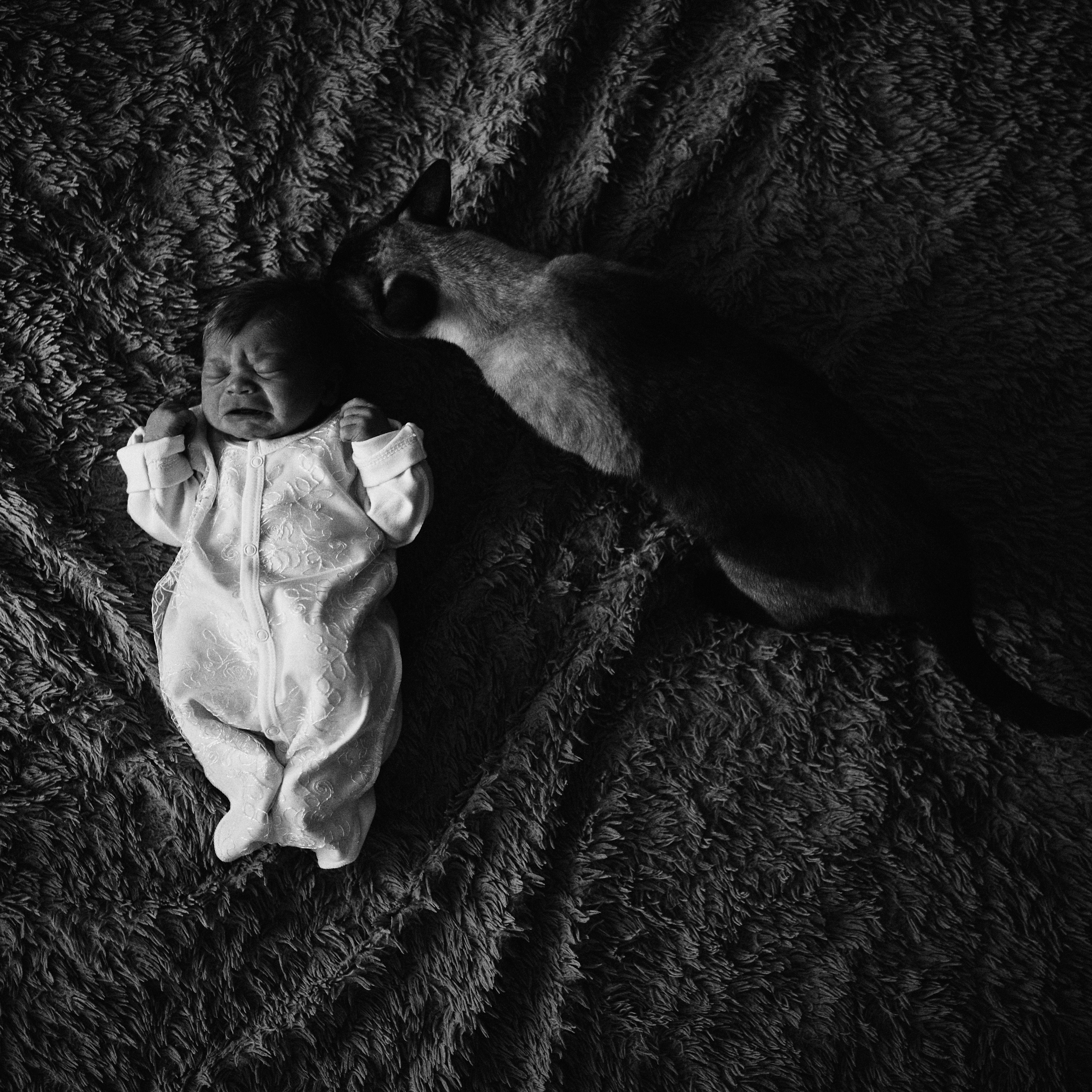 Выписка. Фотограф Олег Сотник