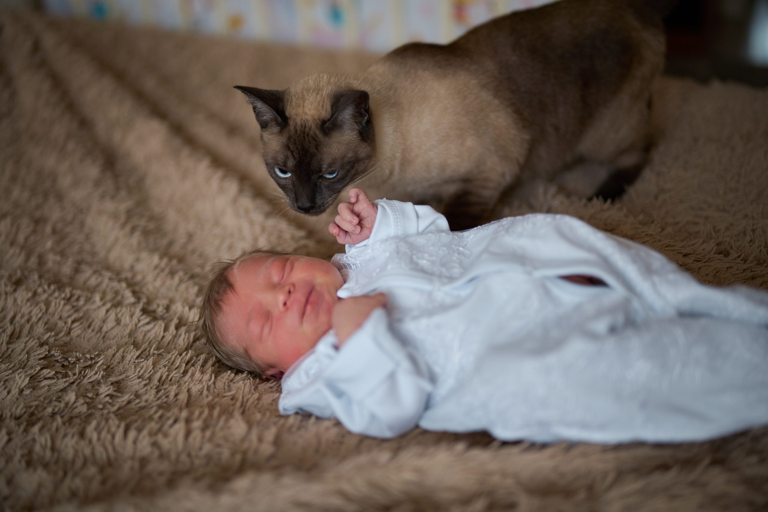 Выписка. Фотограф Олег Сотник