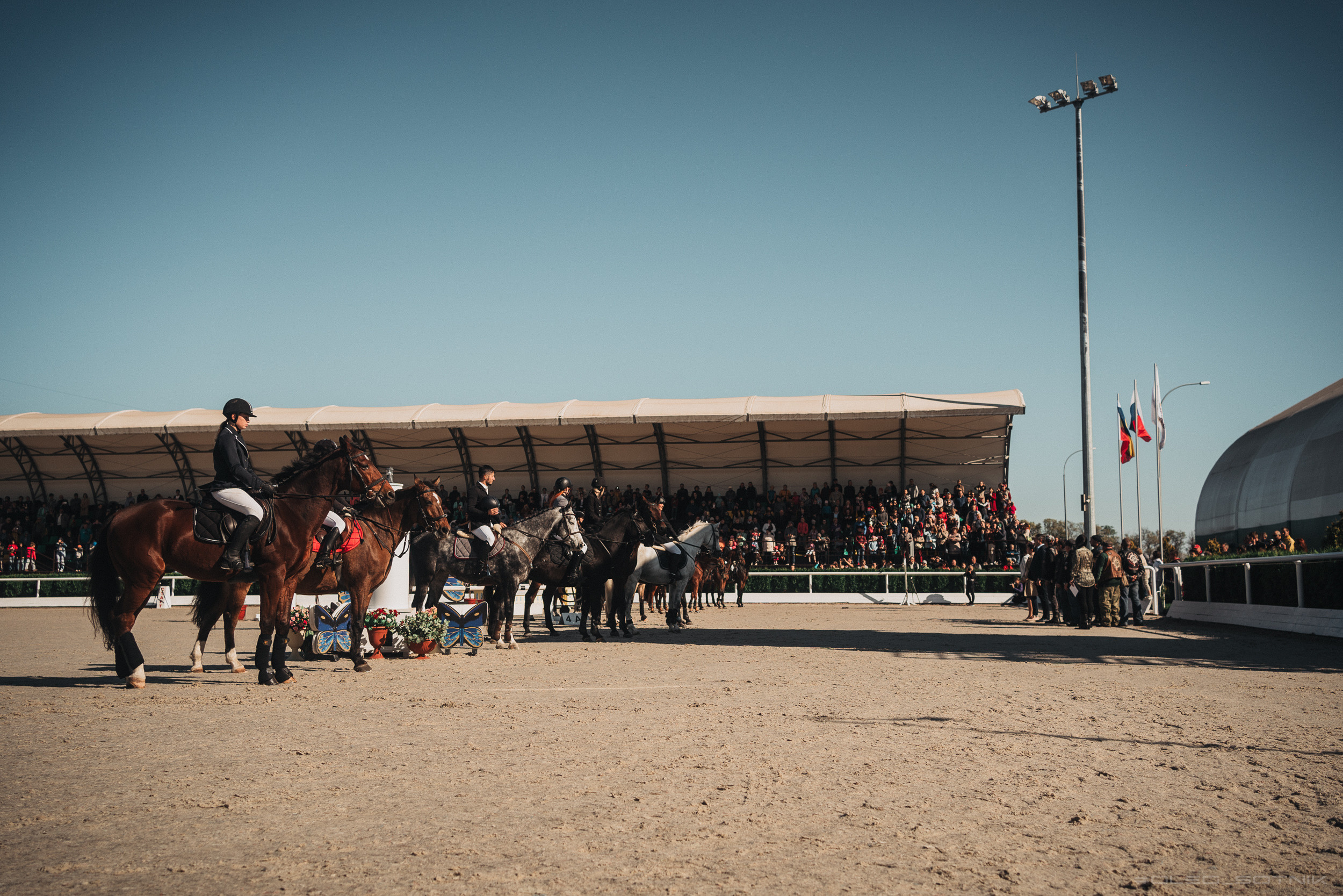 Контент для конного клуба. Фотограф Олег Сотник