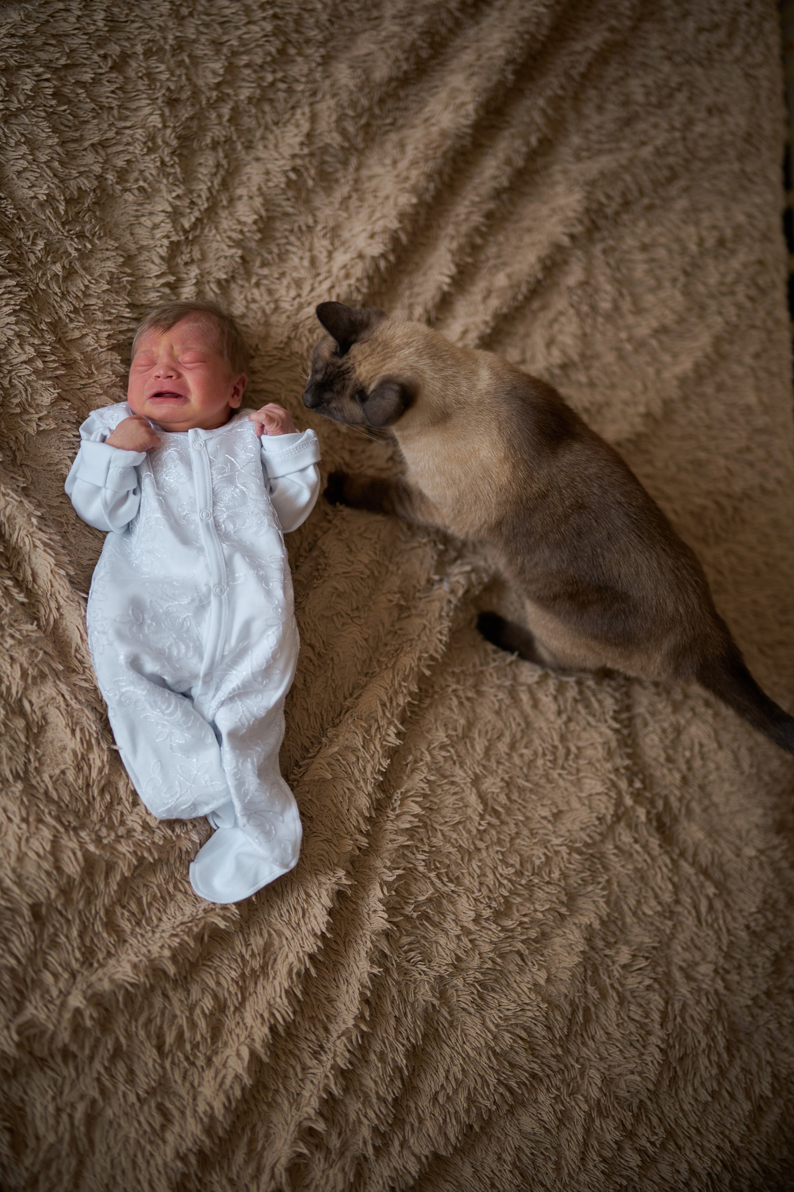 Выписка. Фотограф Олег Сотник