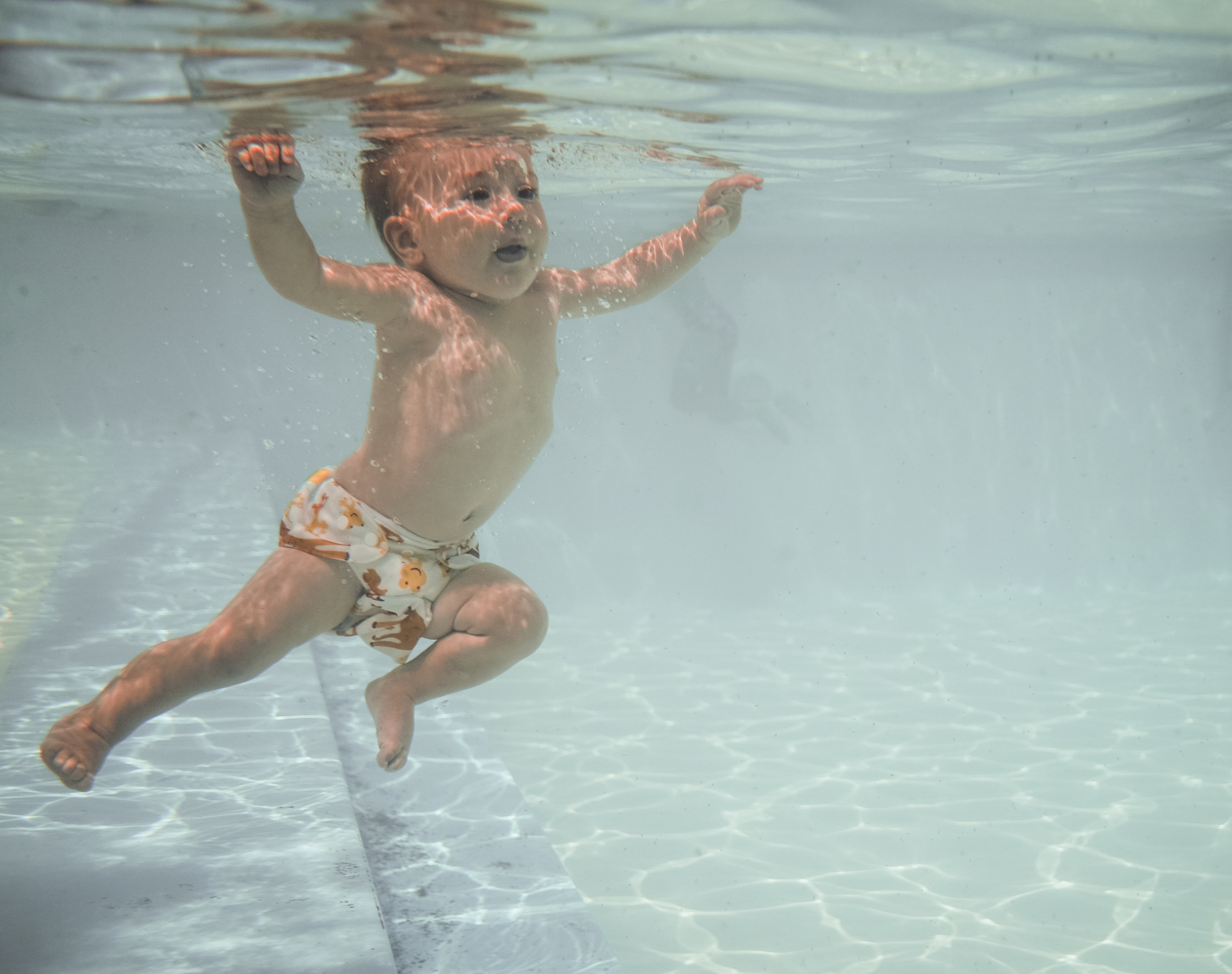 Подводная. Фотограф Олег Сотник