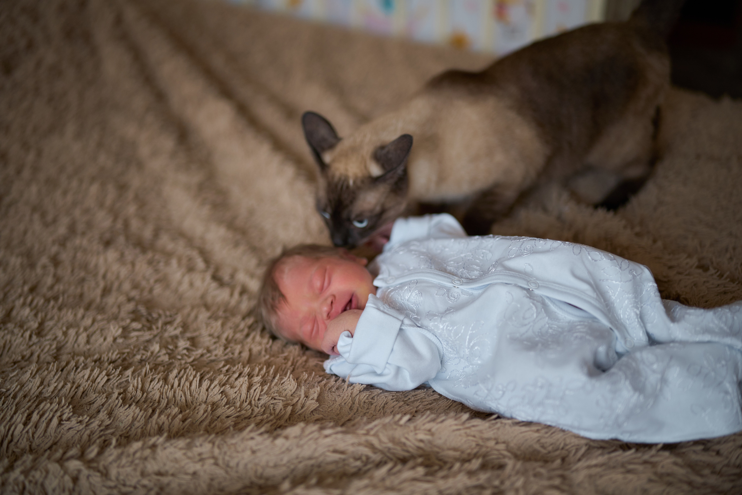 Выписка. Фотограф Олег Сотник