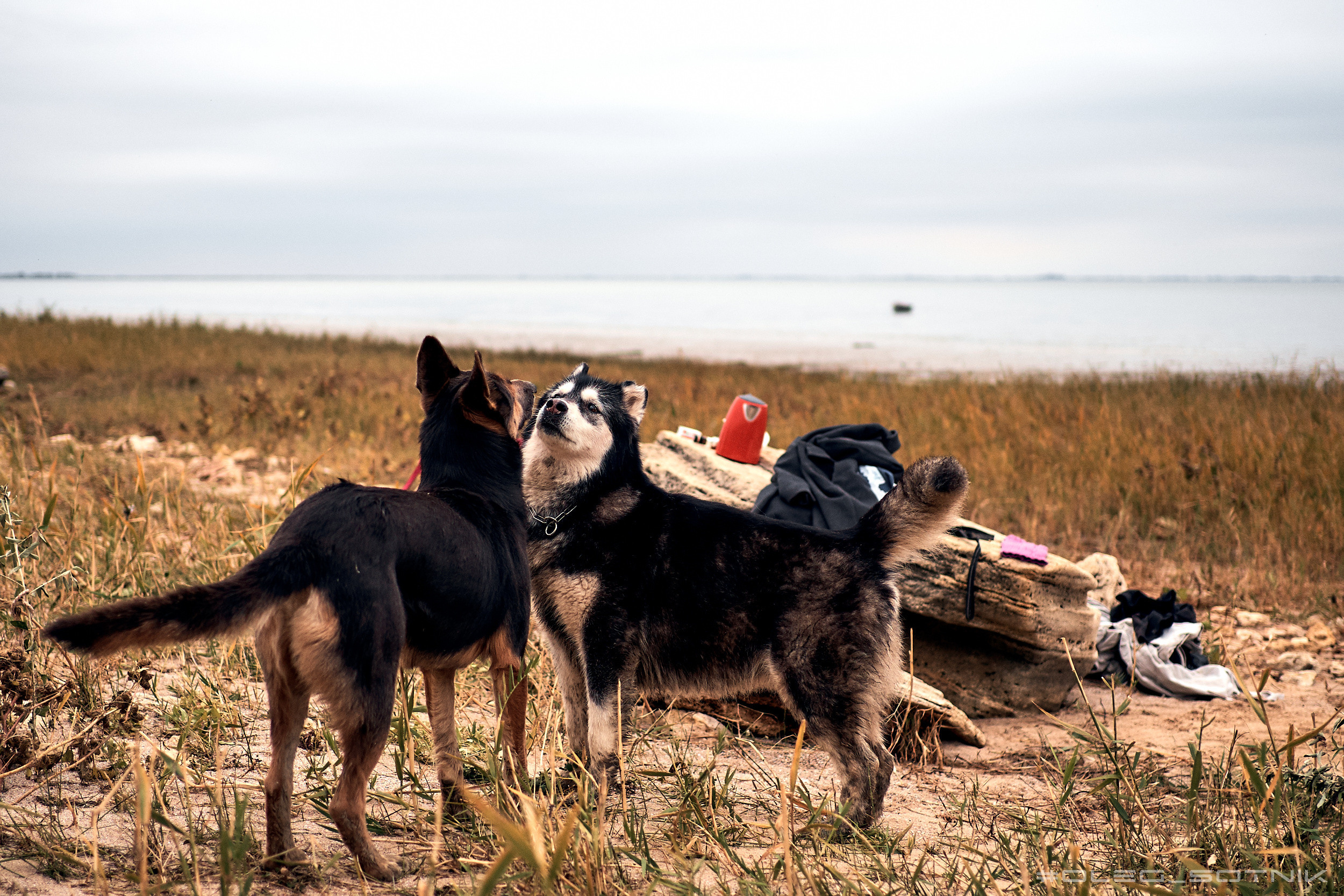 Бэкстейдж для Hotel 17 (съемка музклипа). Фотограф Олег Сотник