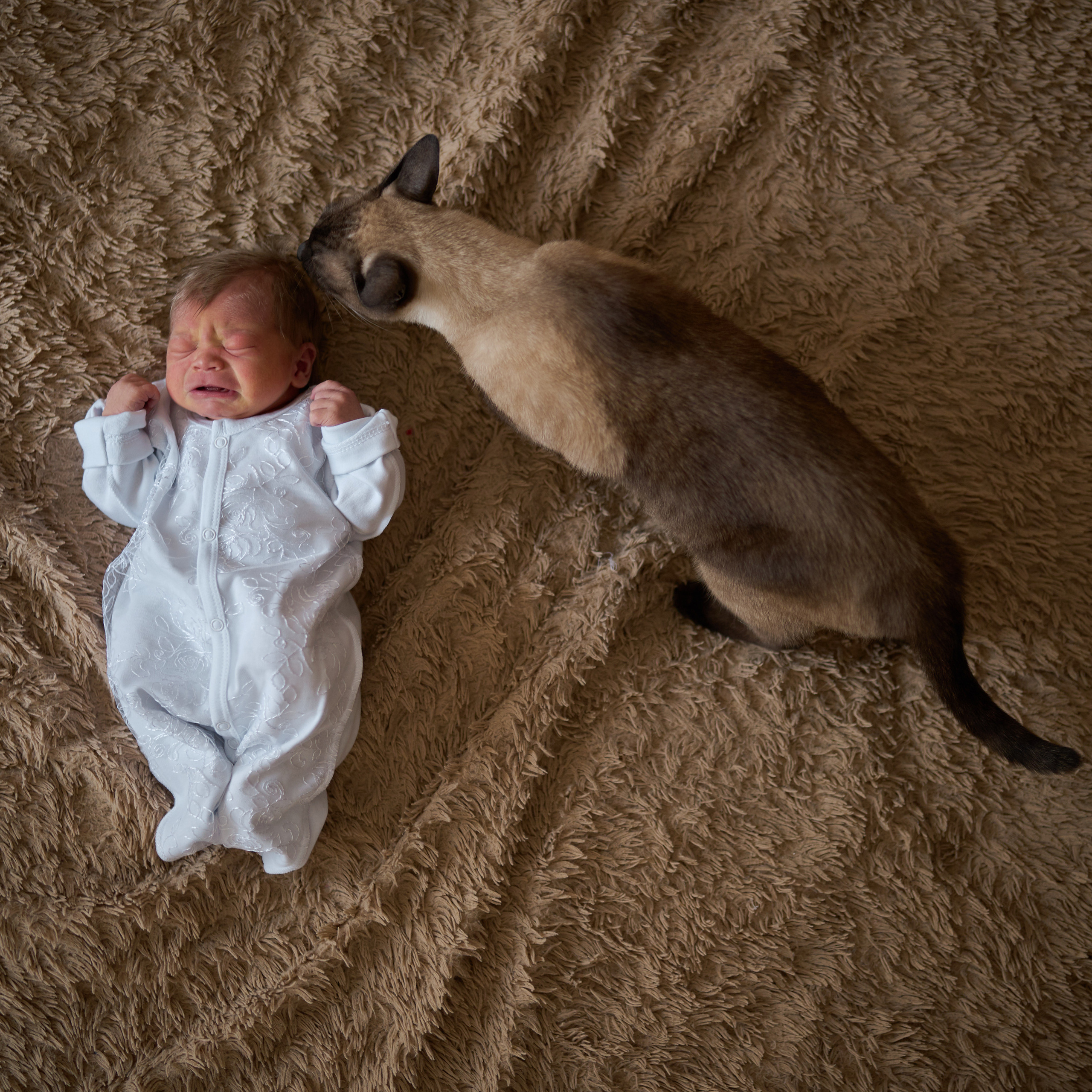 Выписка. Фотограф Олег Сотник
