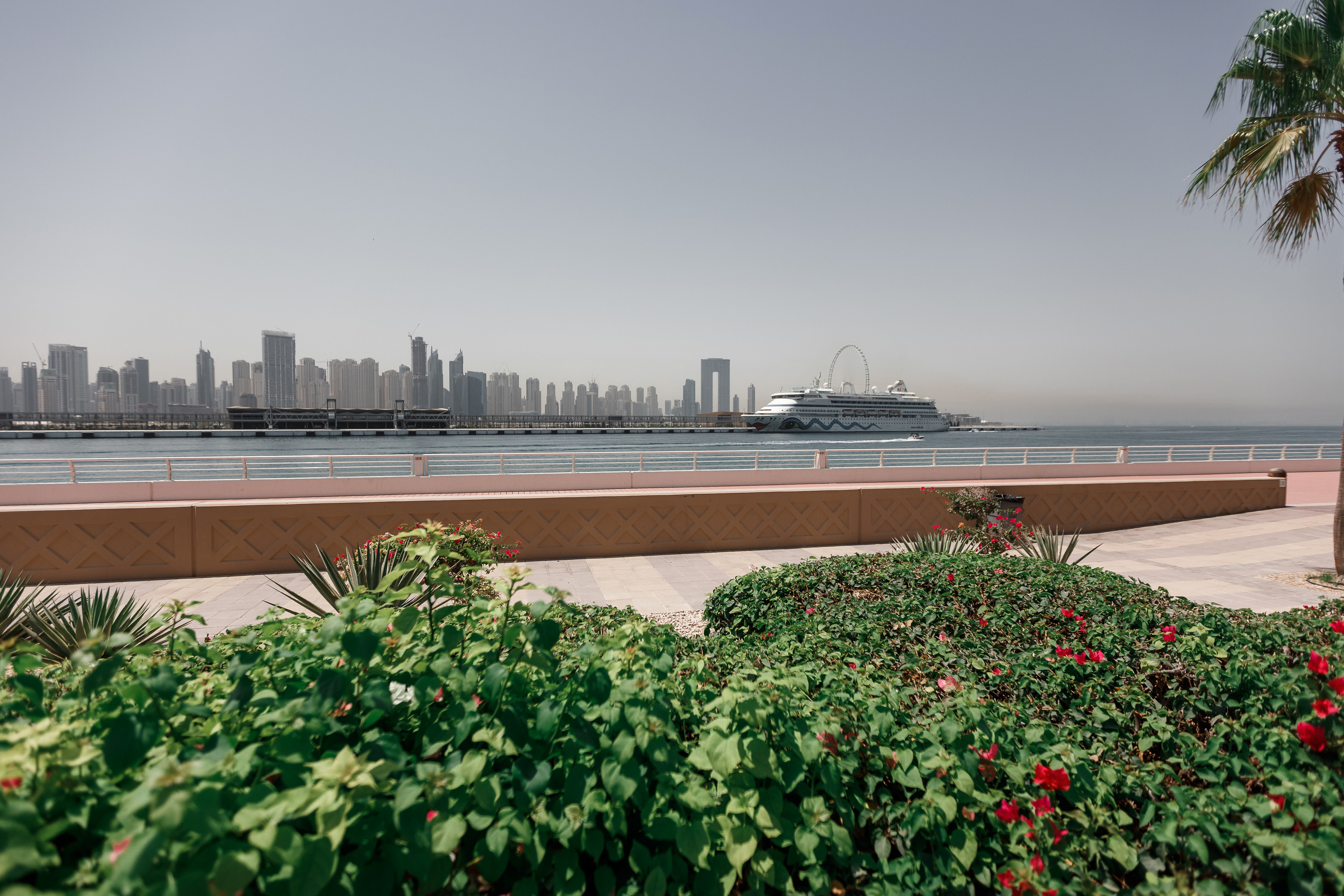 Дубай. Гонки на Ferrari. Фотограф Олег Сотник