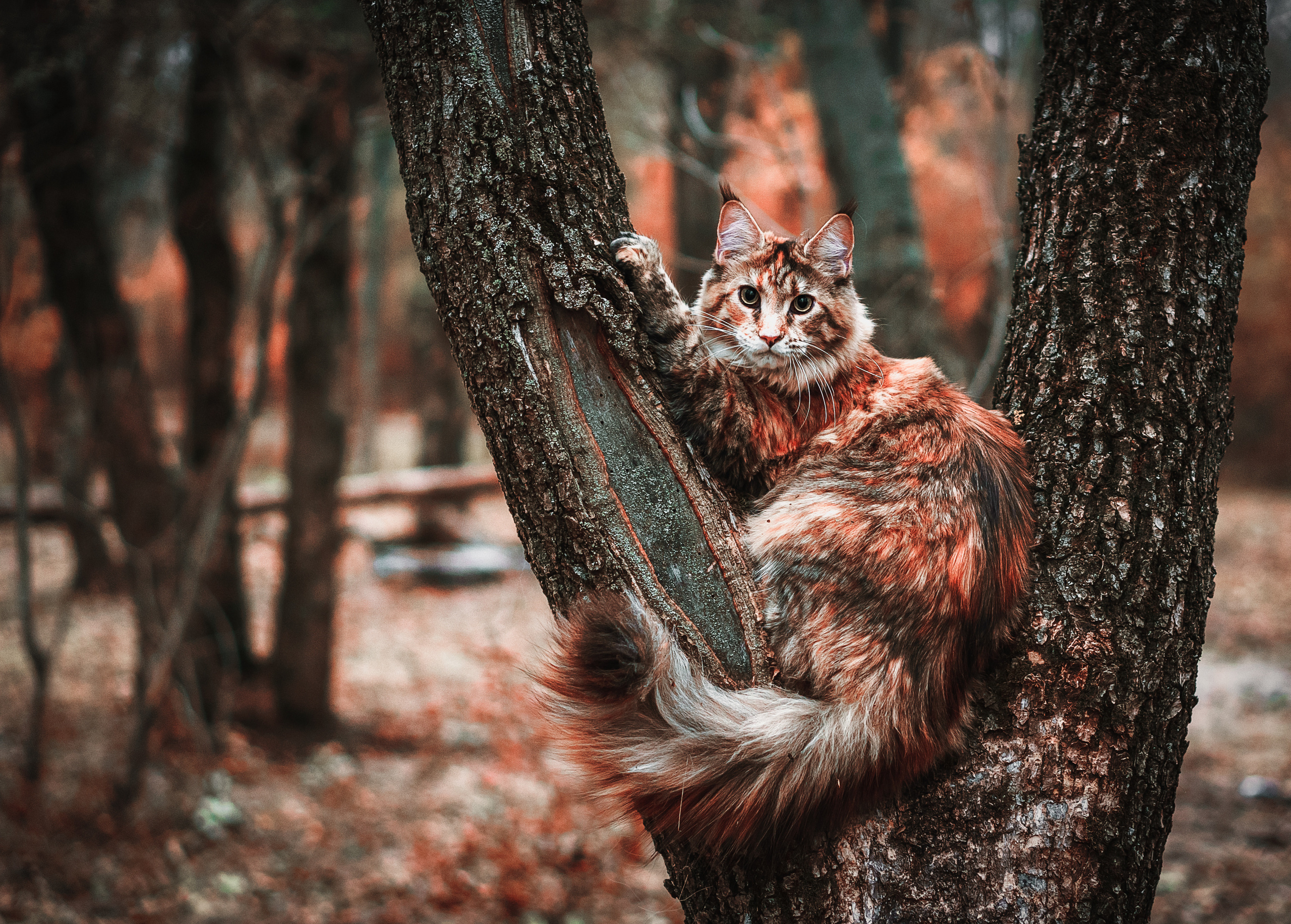 Контент с животными. Фотограф Олег Сотник