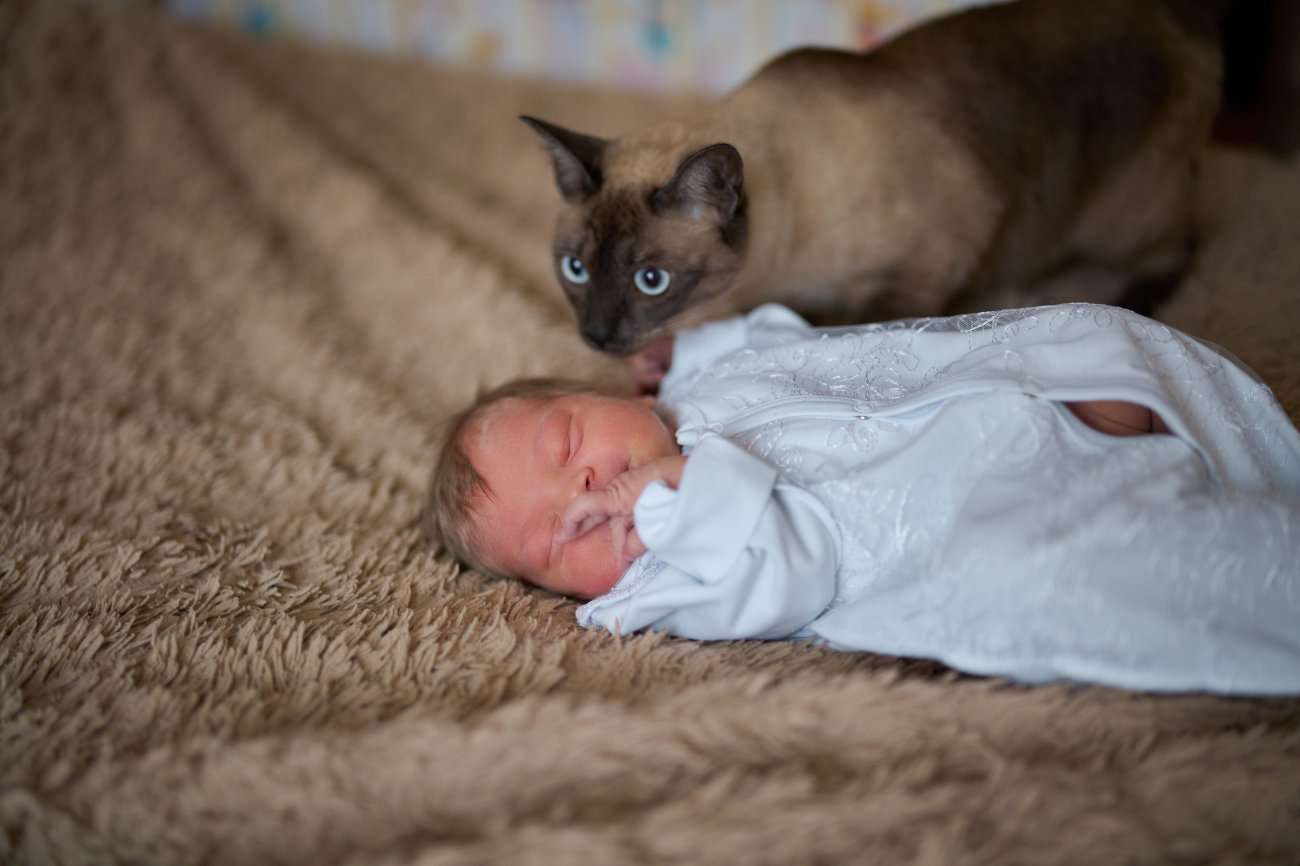 Выписка. Фотограф Олег Сотник