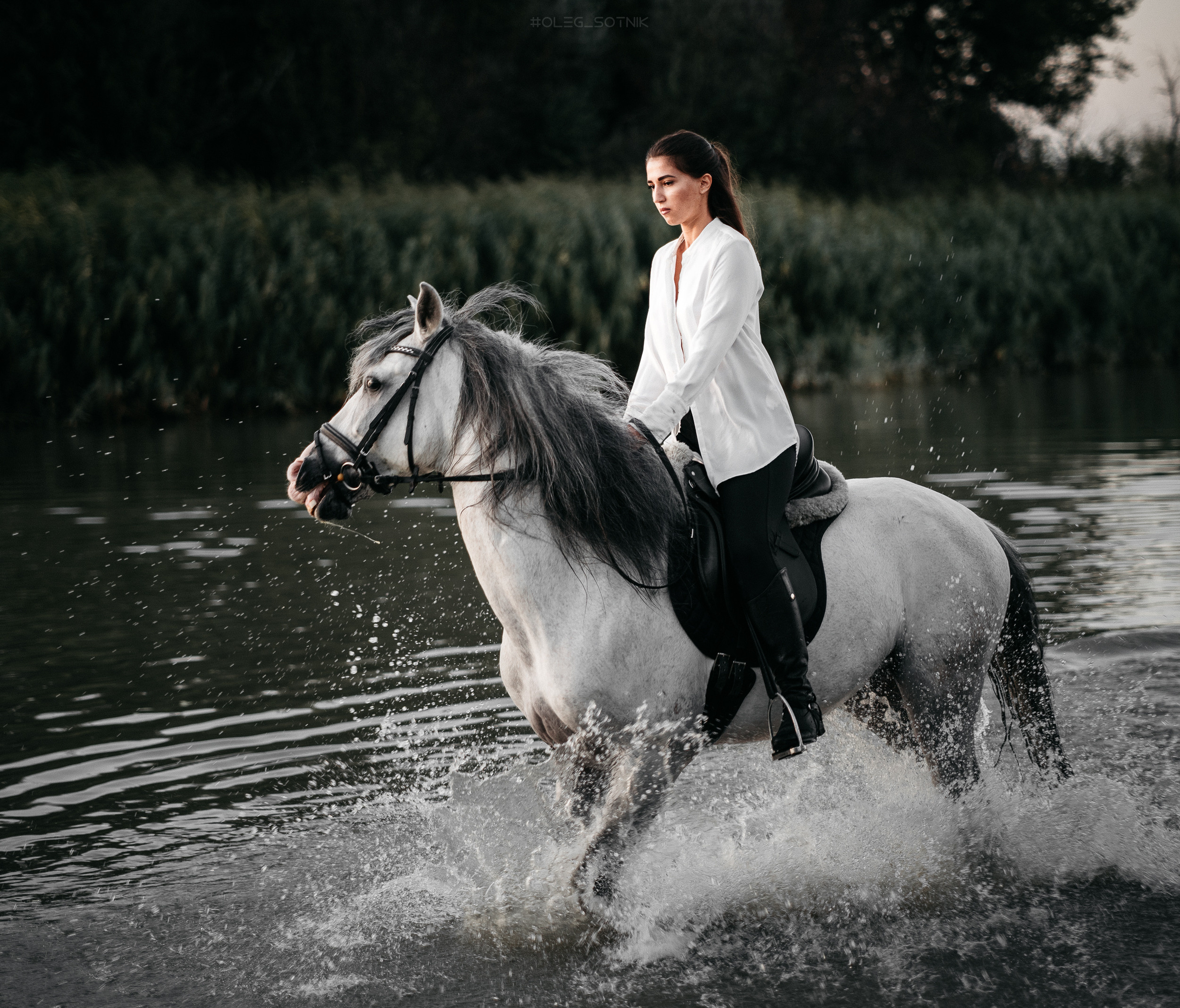 Контент для конного клуба. Фотограф Олег Сотник